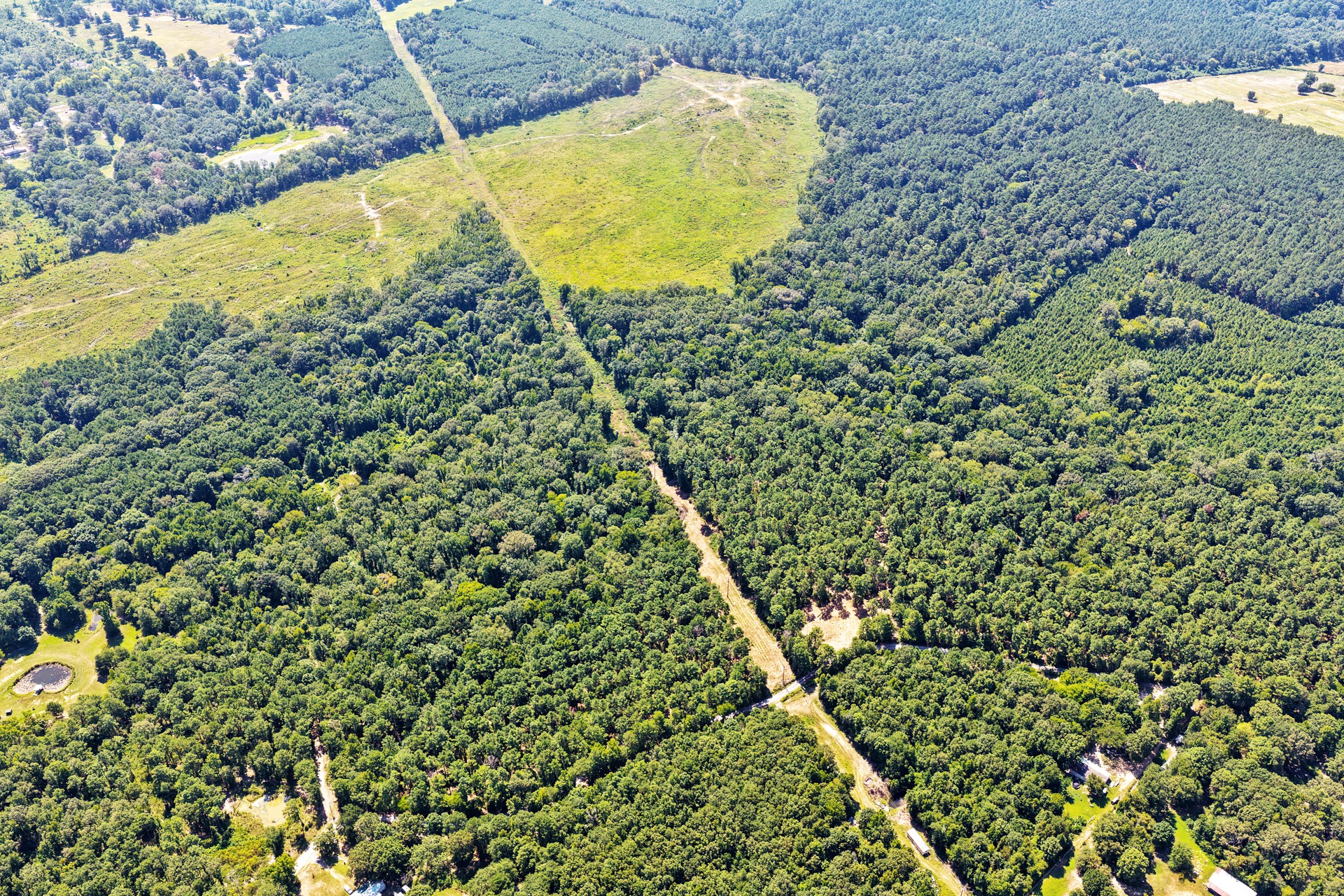 Lot 2 County Road 1240