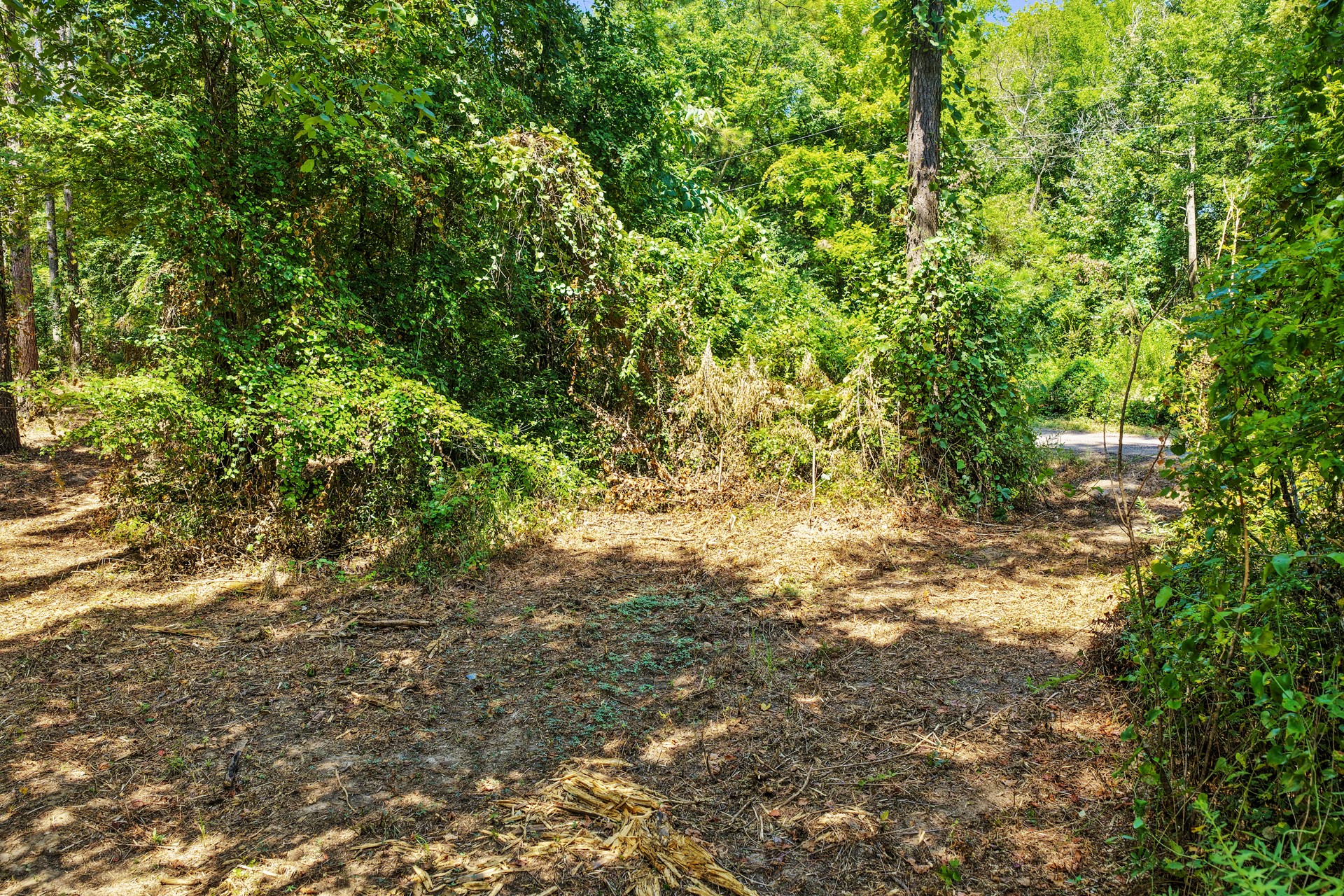 Lot 2 County Road 1240