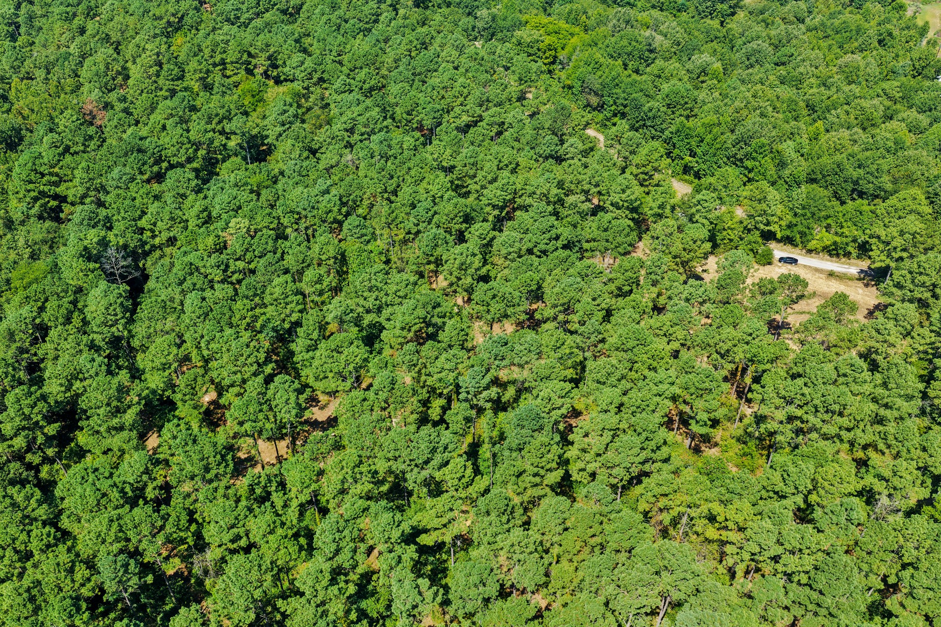 Lot 2 County Road 1240