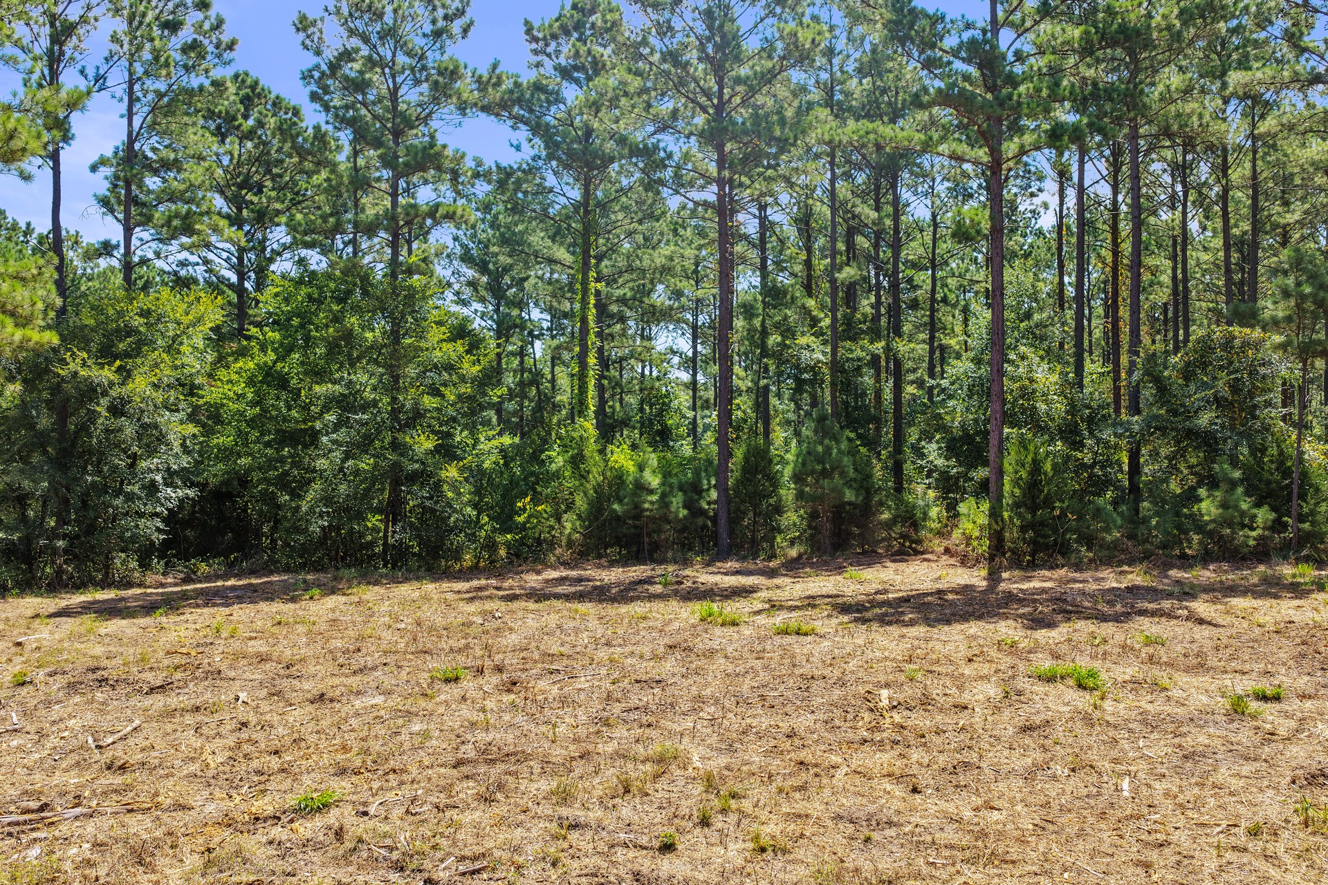 Lot 2 County Road 1240