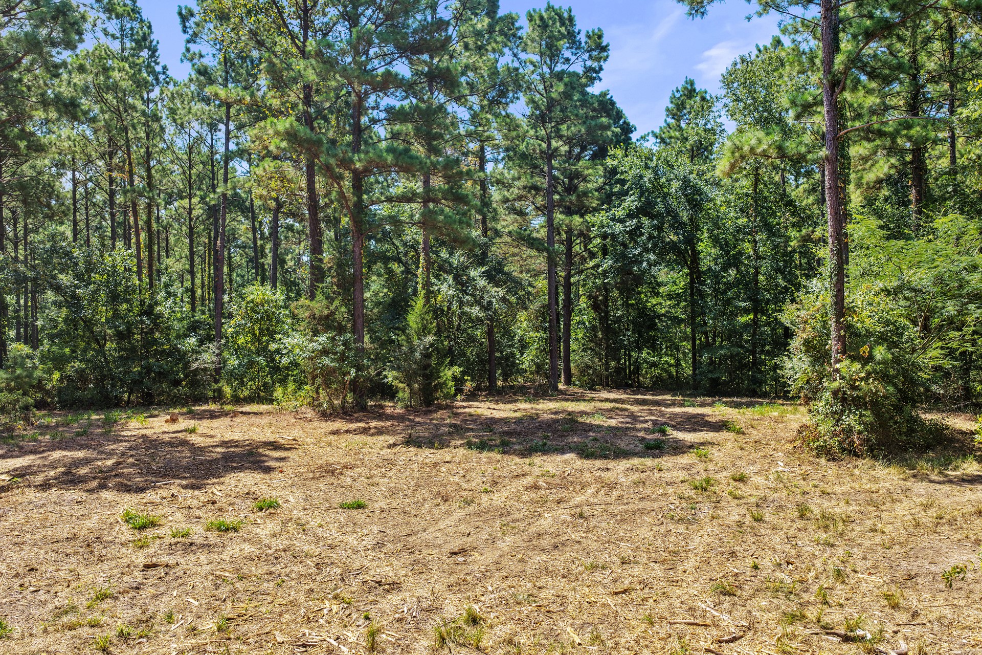 Lot 2 County Road 1240