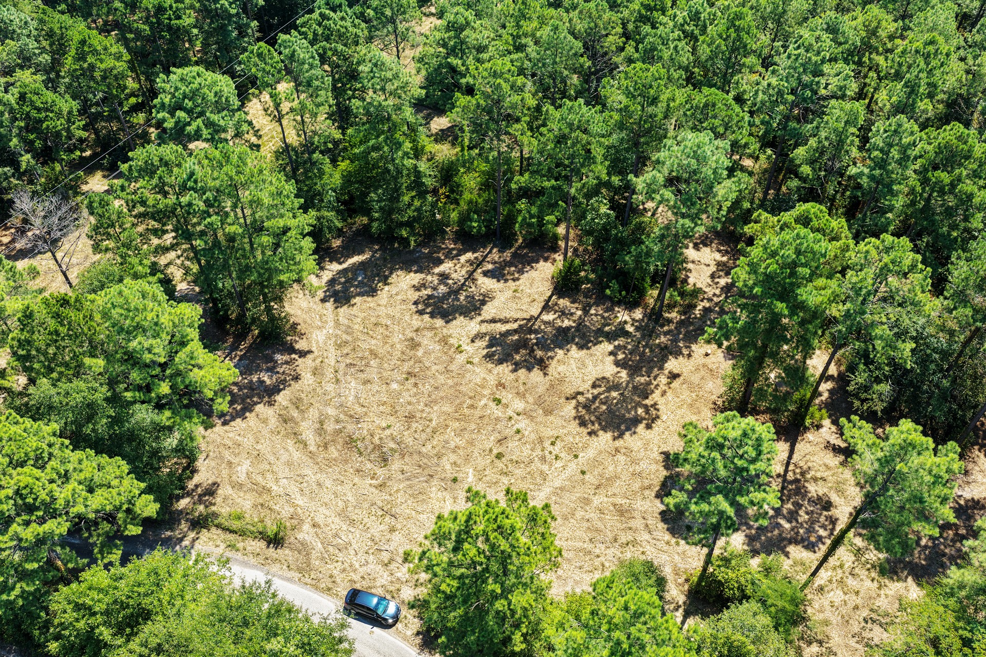 Lot 2 County Road 1240