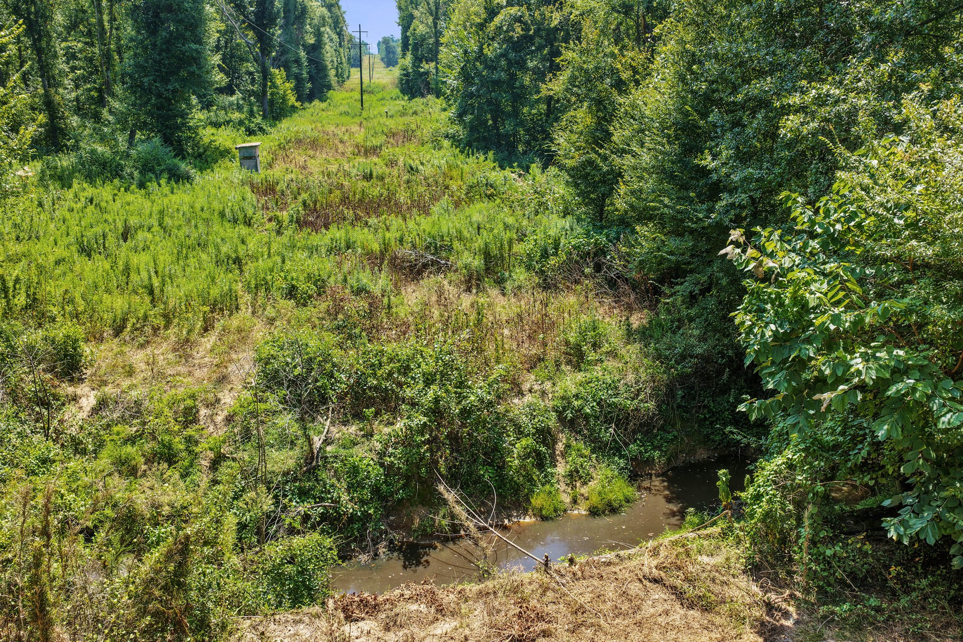 Lot 2 County Road 1240