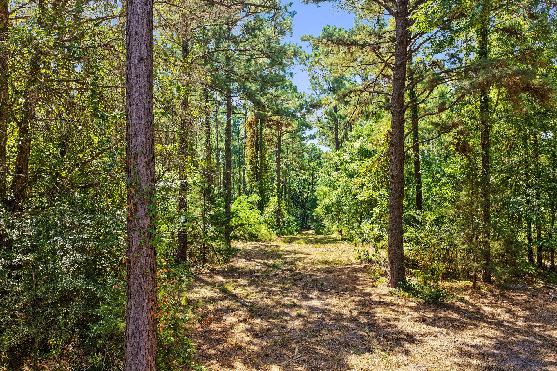 Lot 2 County Road 1240