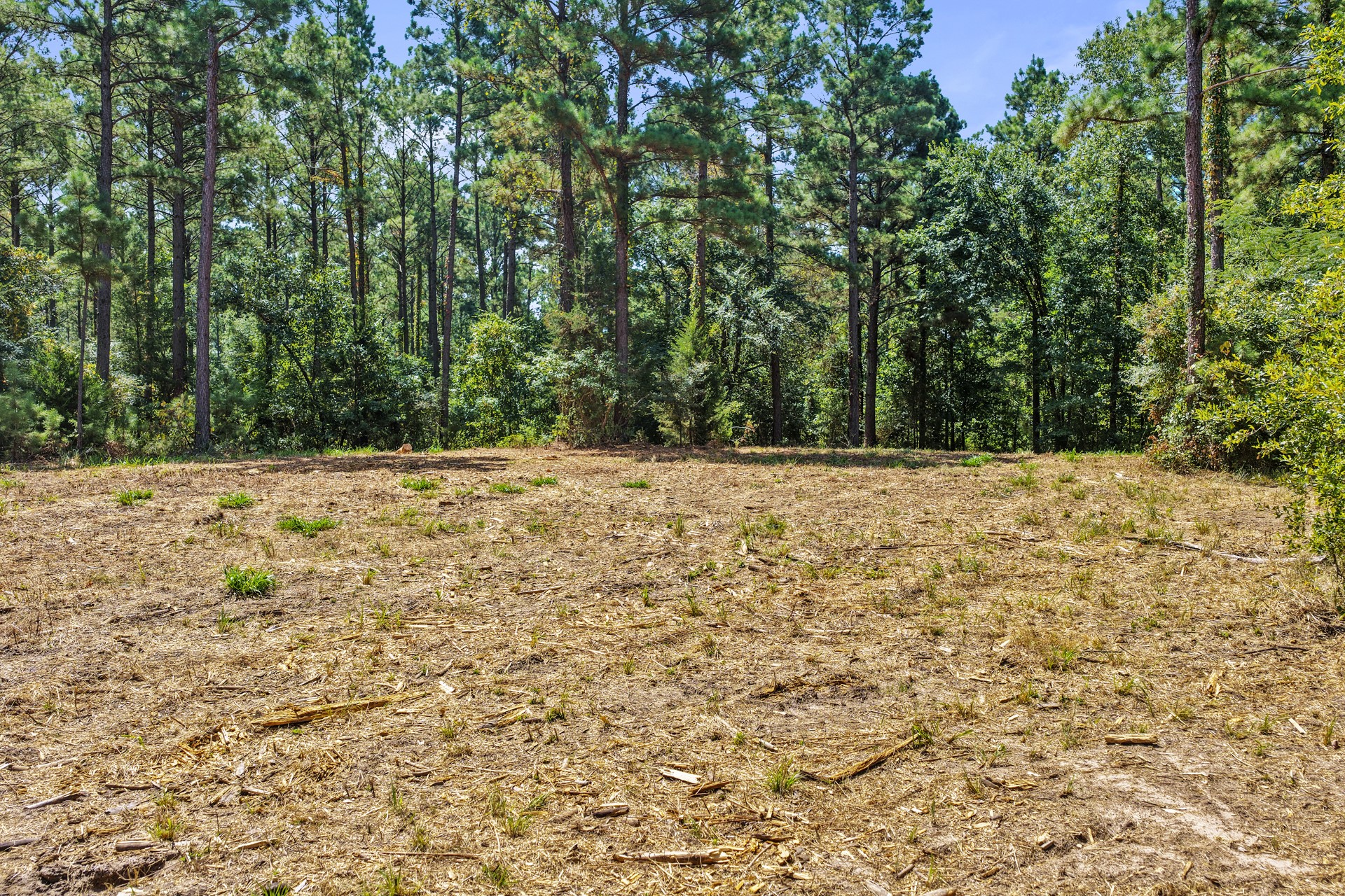 Lot 2 County Road 1240
