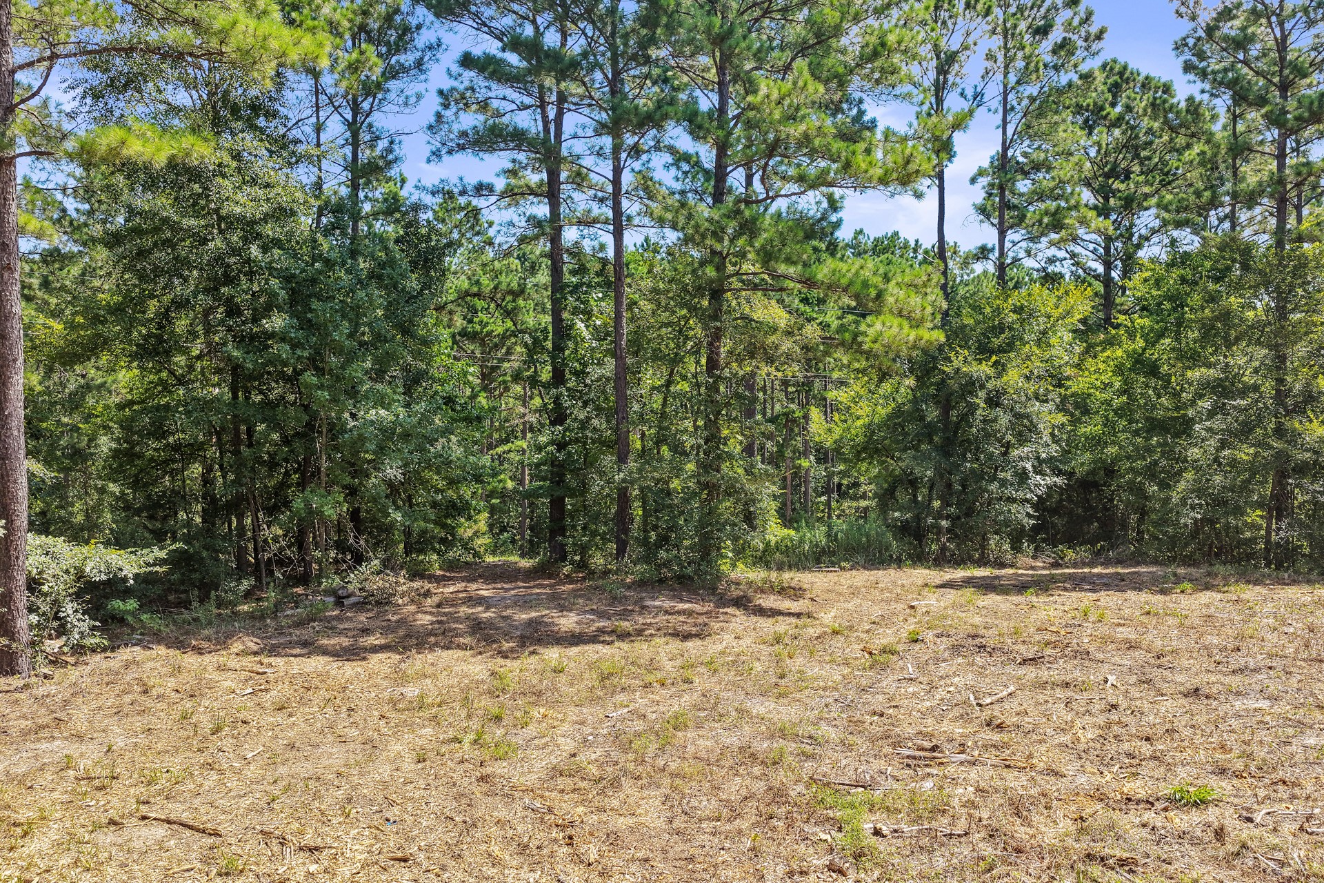 Lot 2 County Road 1240