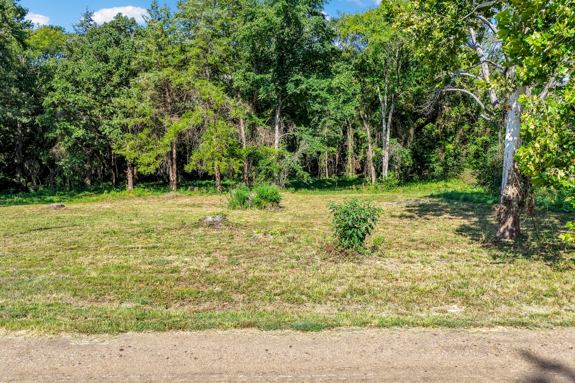 Lot 39 County Road 4231