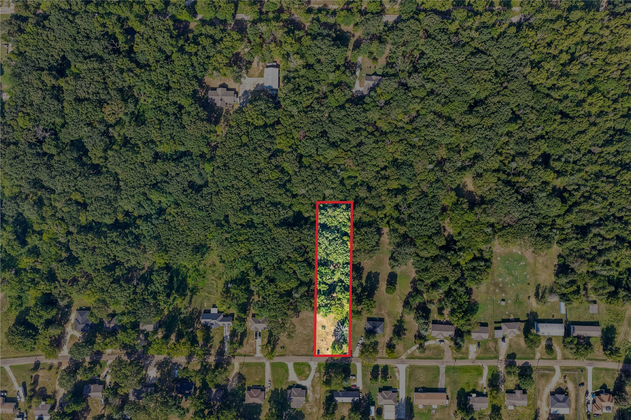 Lot 39 County Road 4231