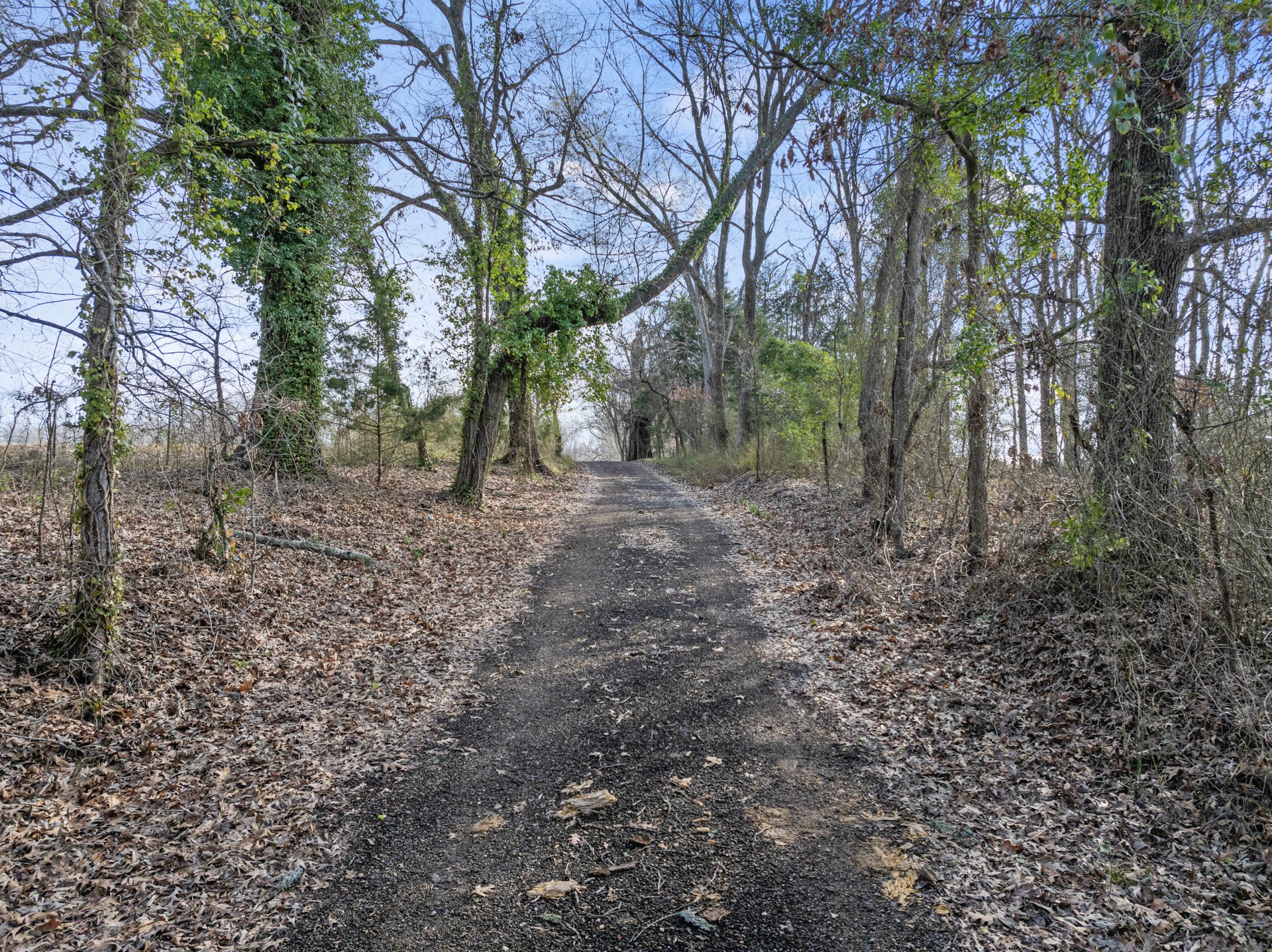 10 County Road 3357