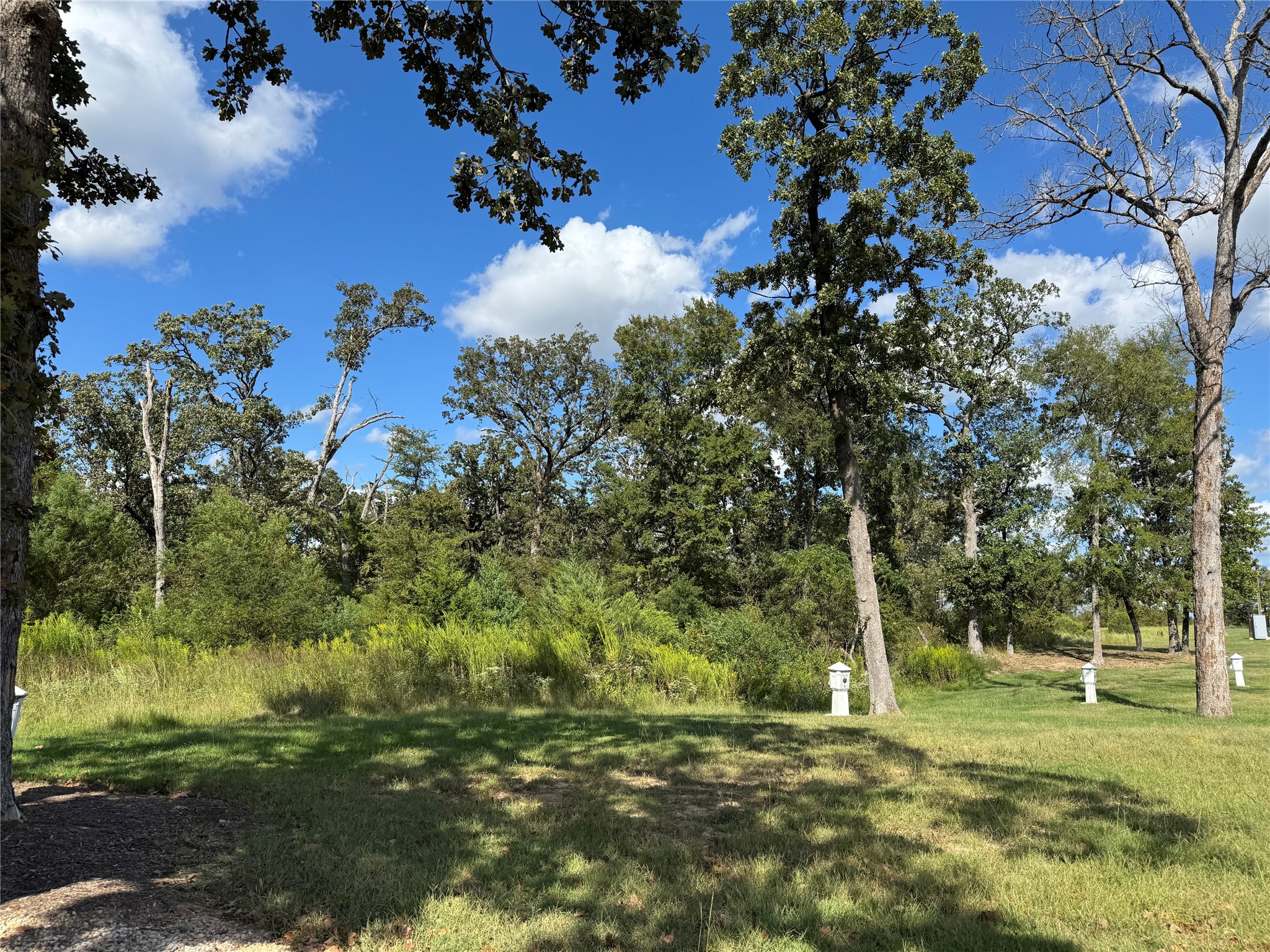 50 CR 3227 Lot 3