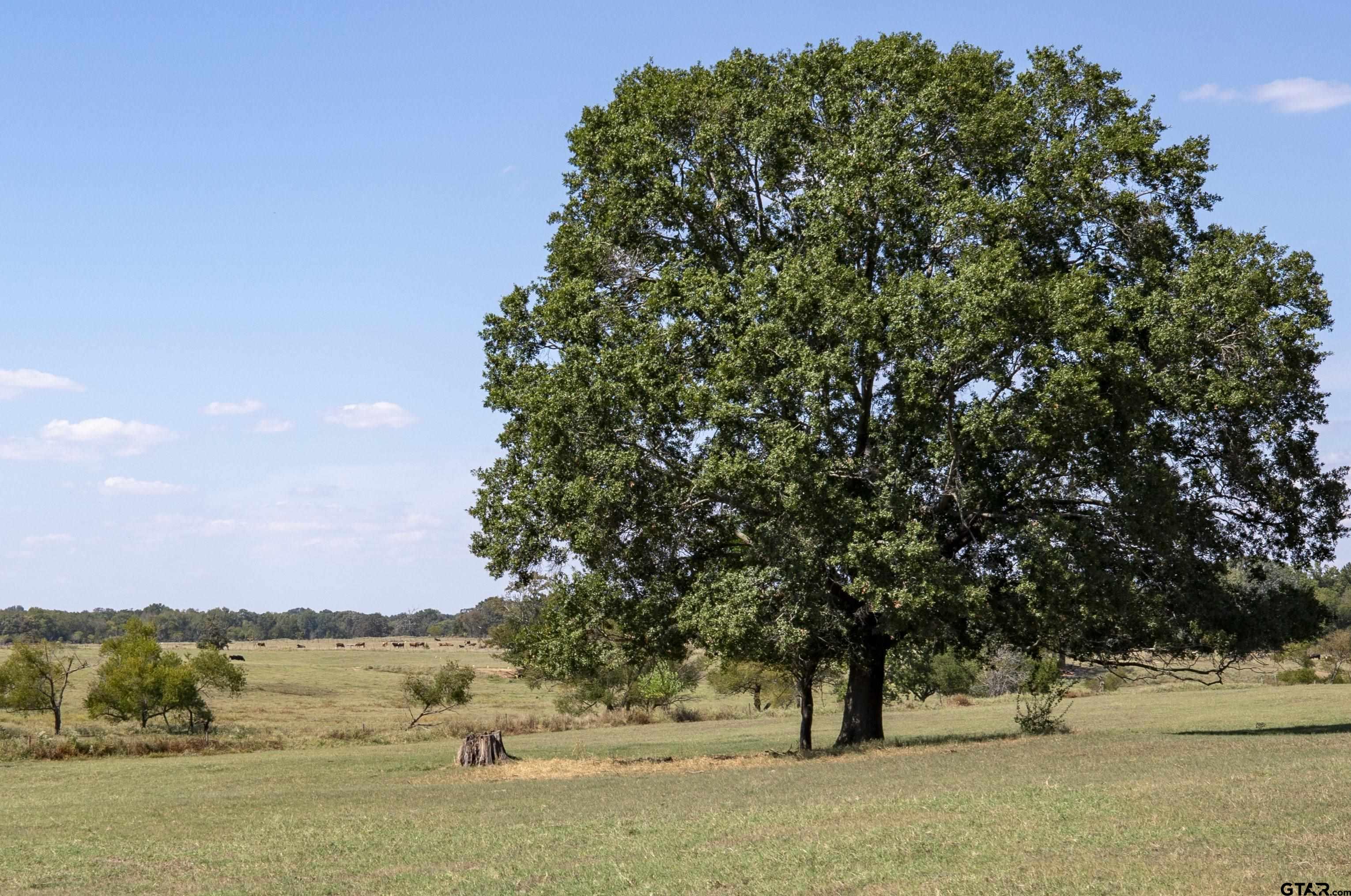 240 Private Road 1613