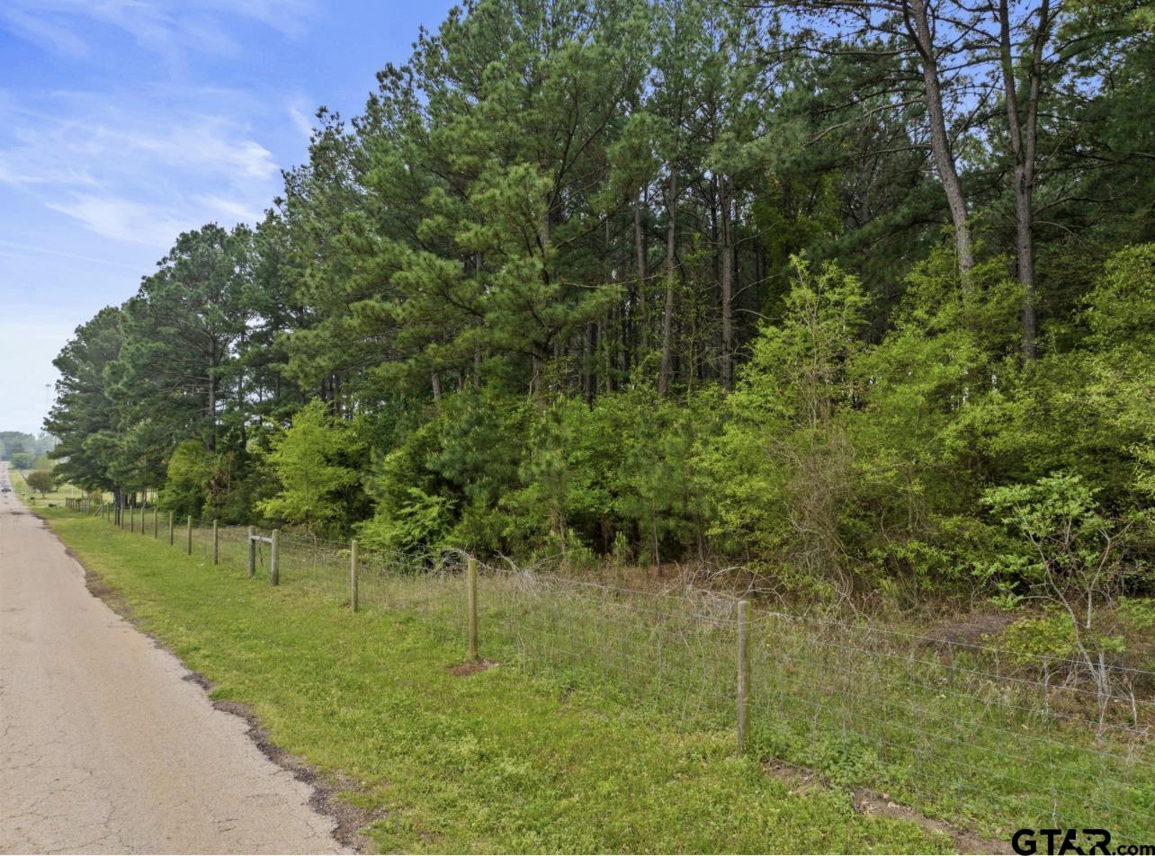 tbd county road 4810