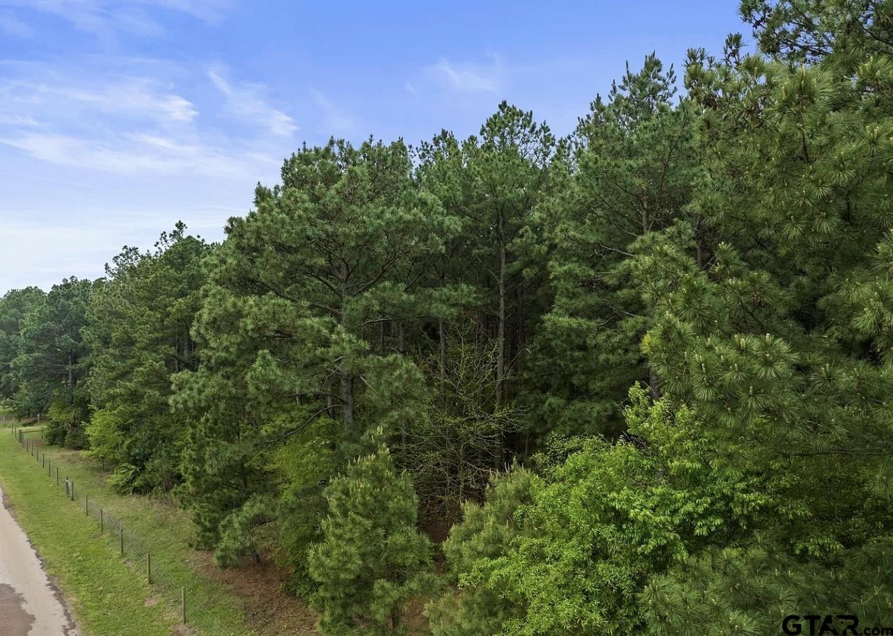 tbd county road 4810