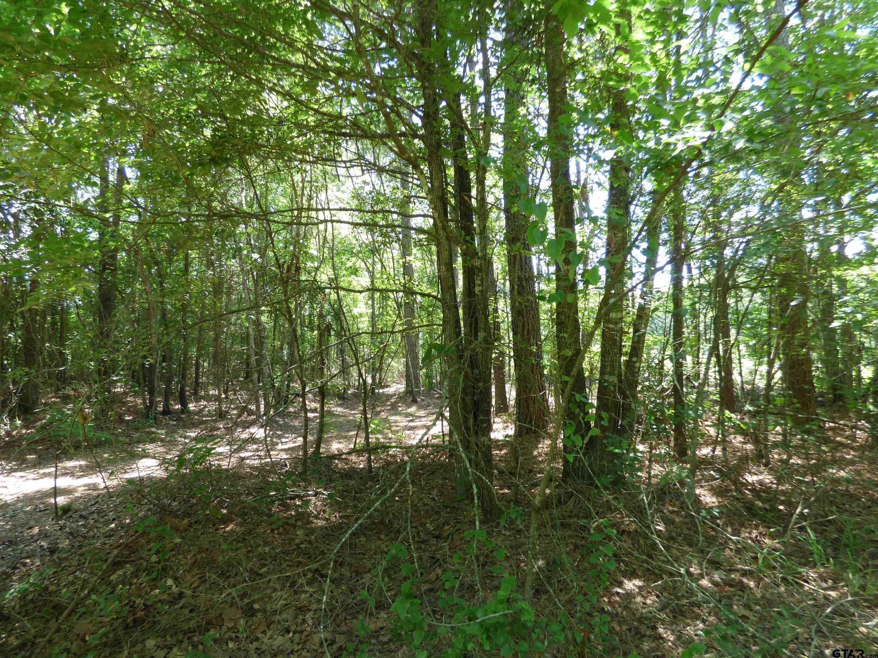 143 County Road 2570