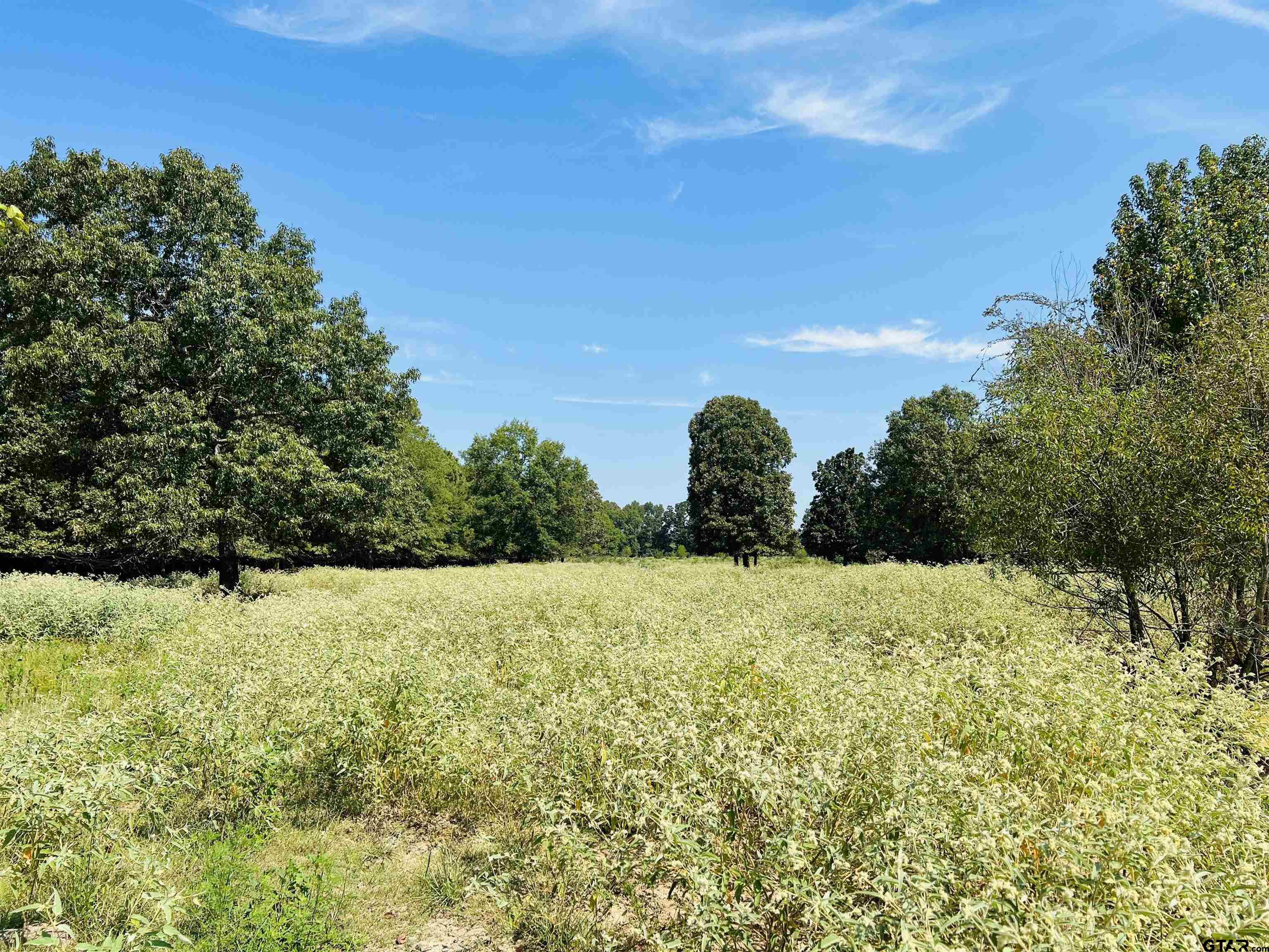 780 S County Road 4223