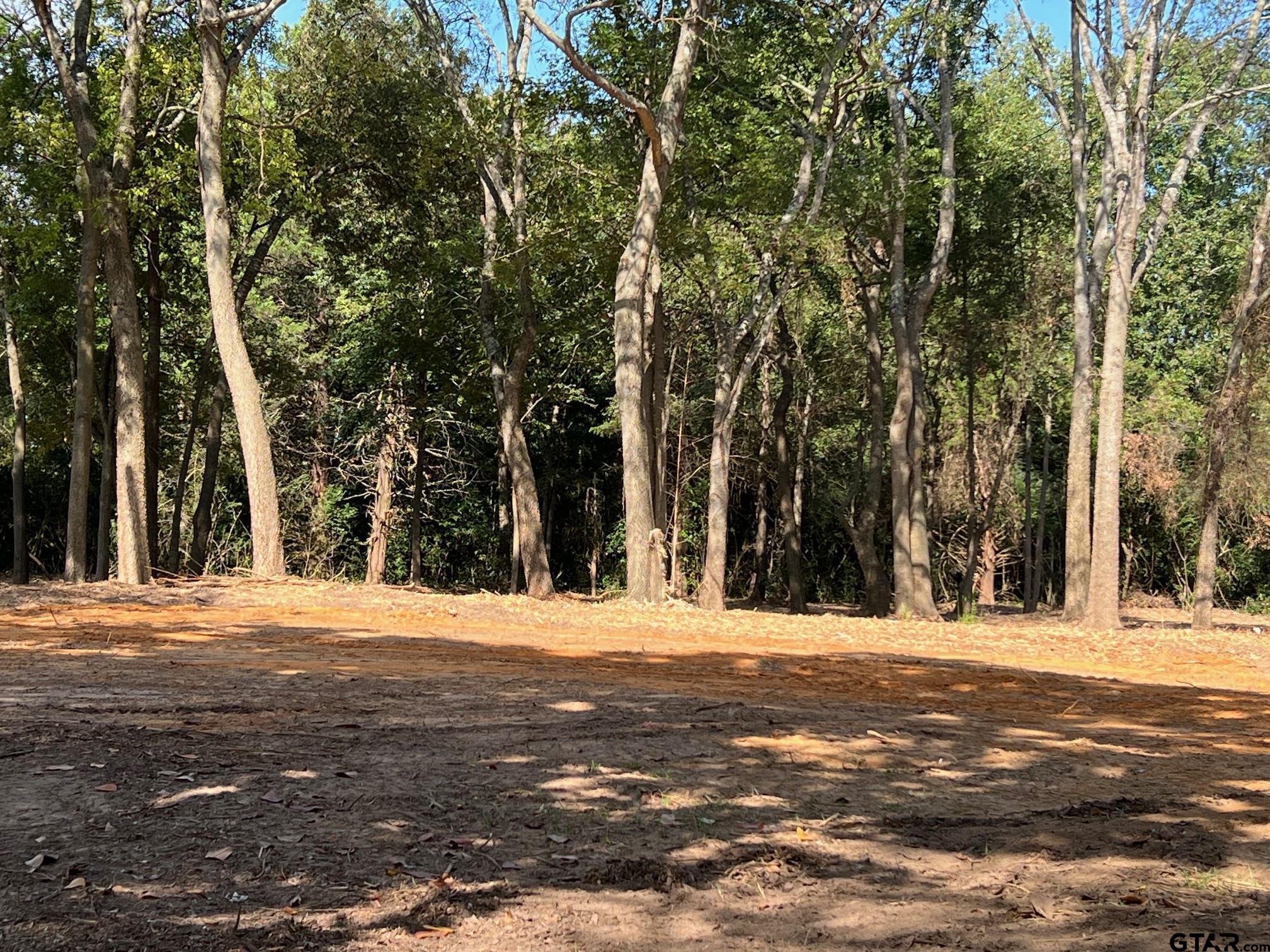 3917 W Hwy 11