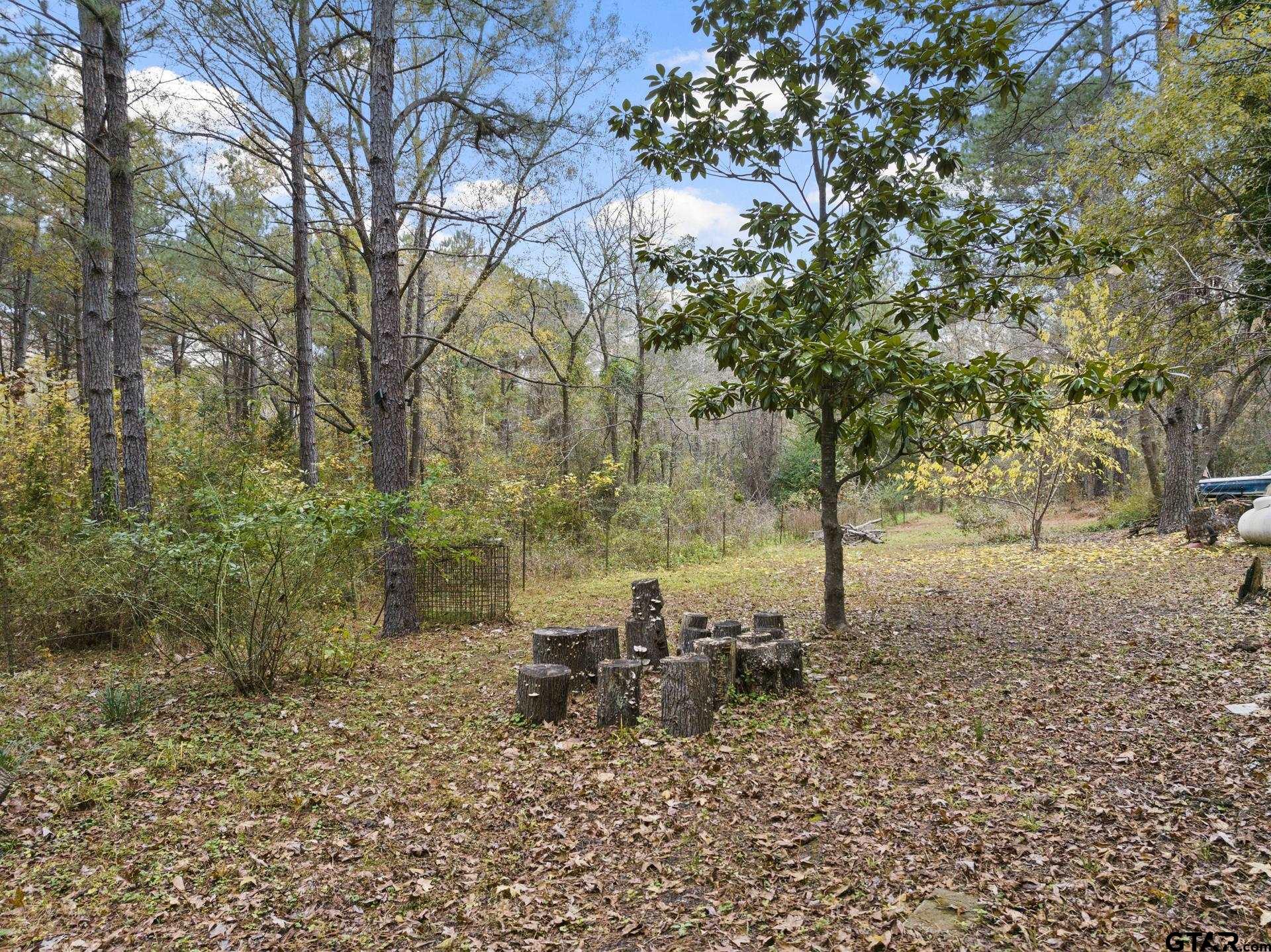 1487 County Road 2924