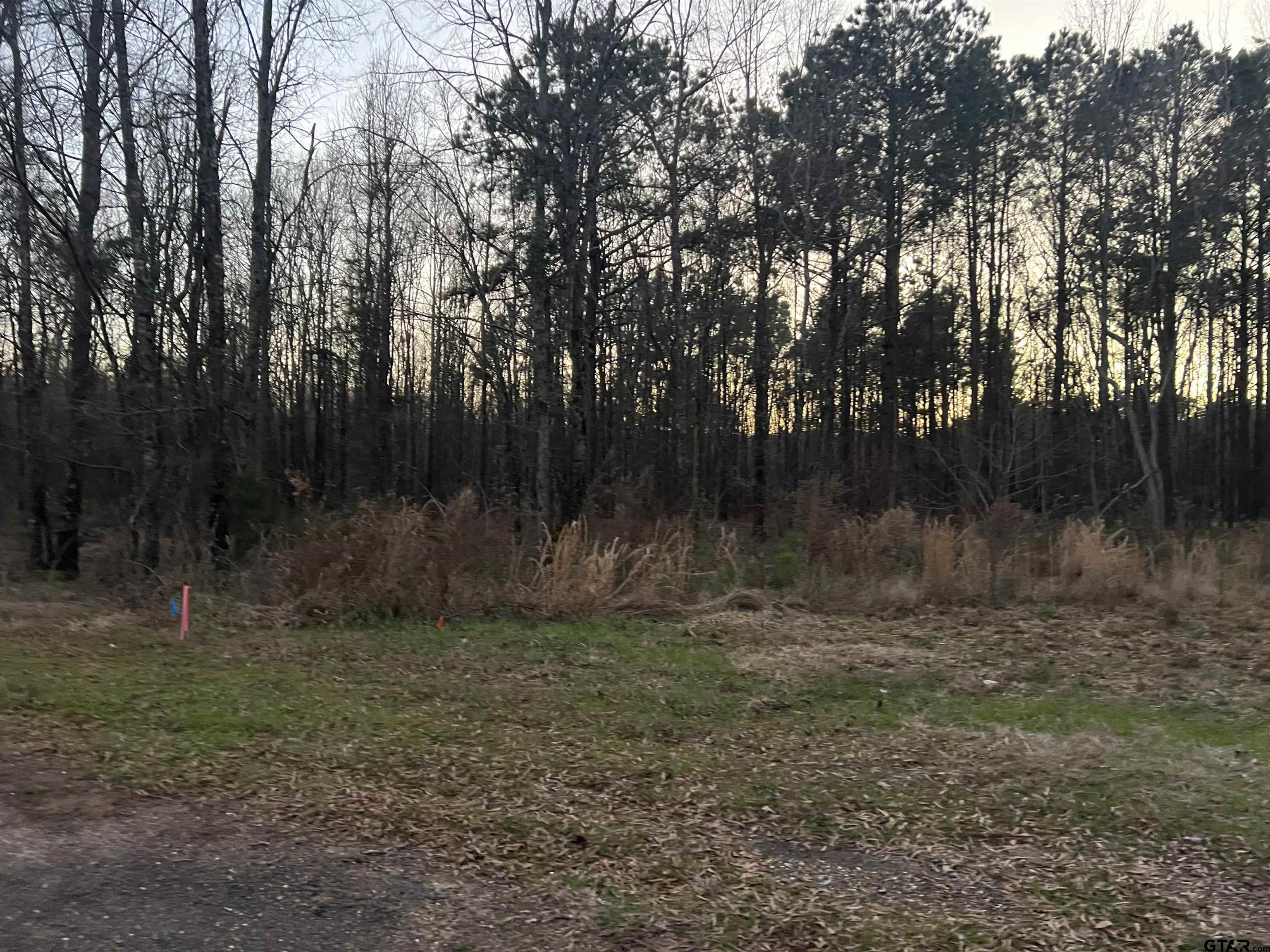 401 County Road 3305