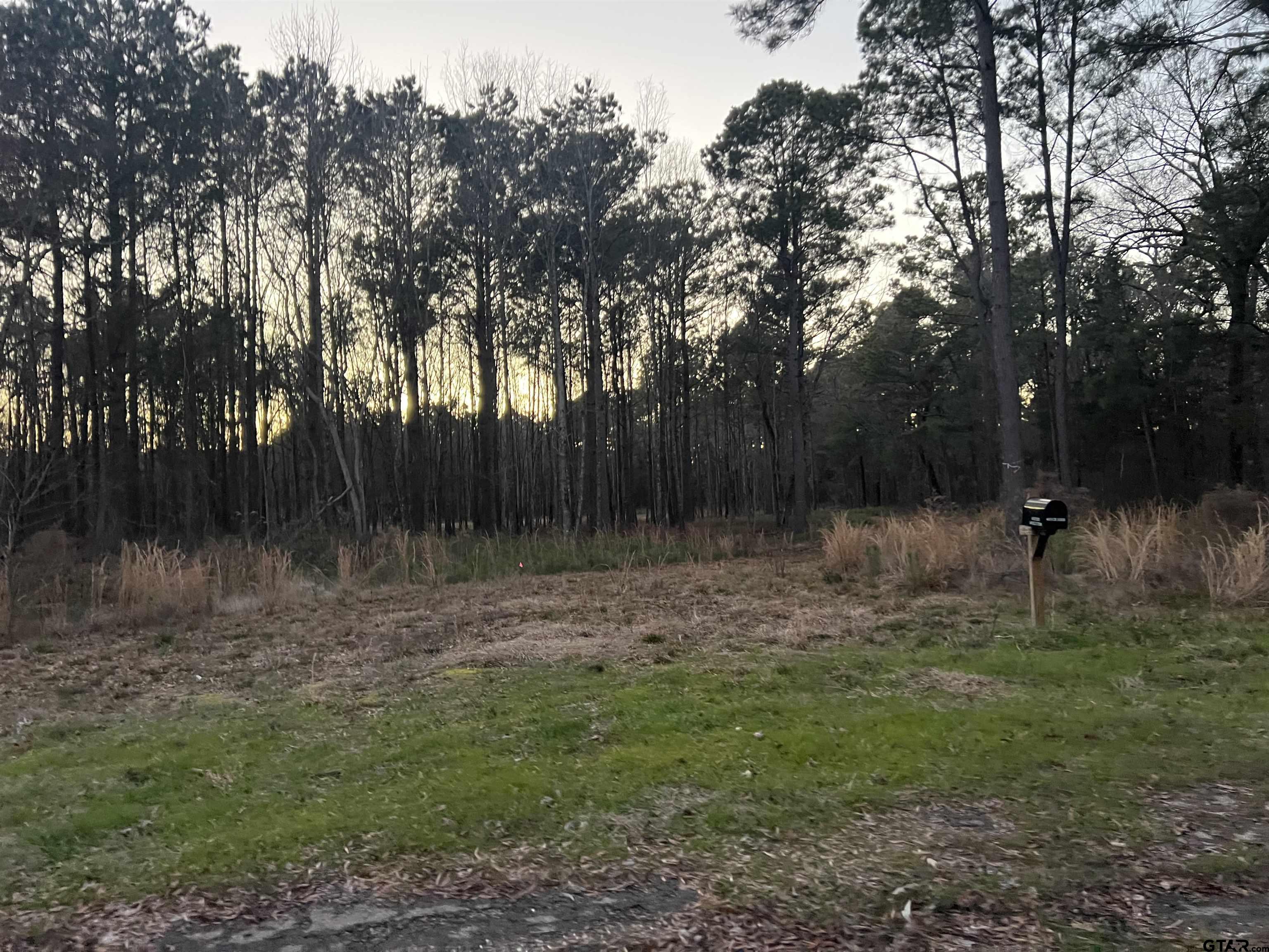 401 County Road 3305