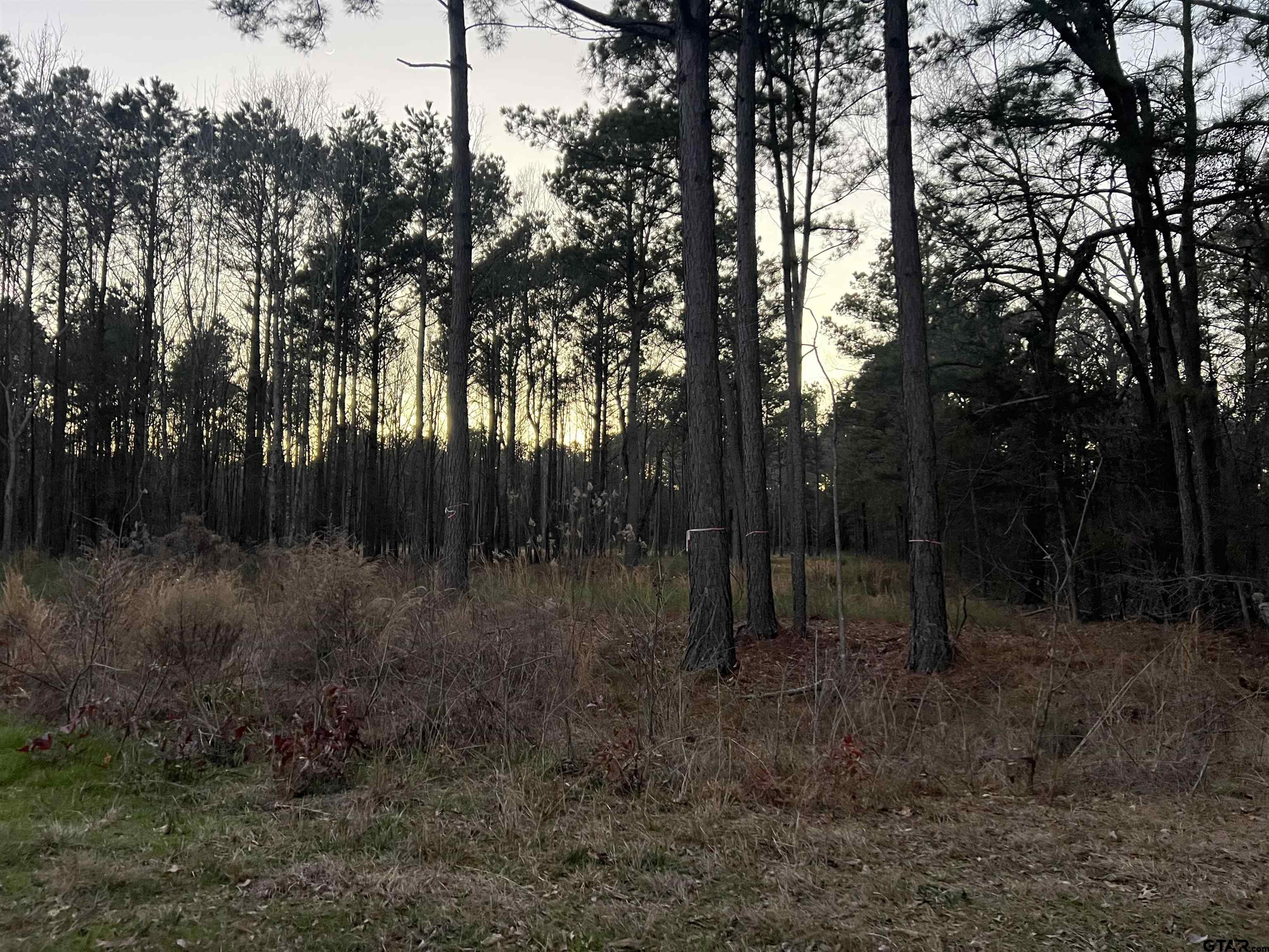 401 County Road 3305