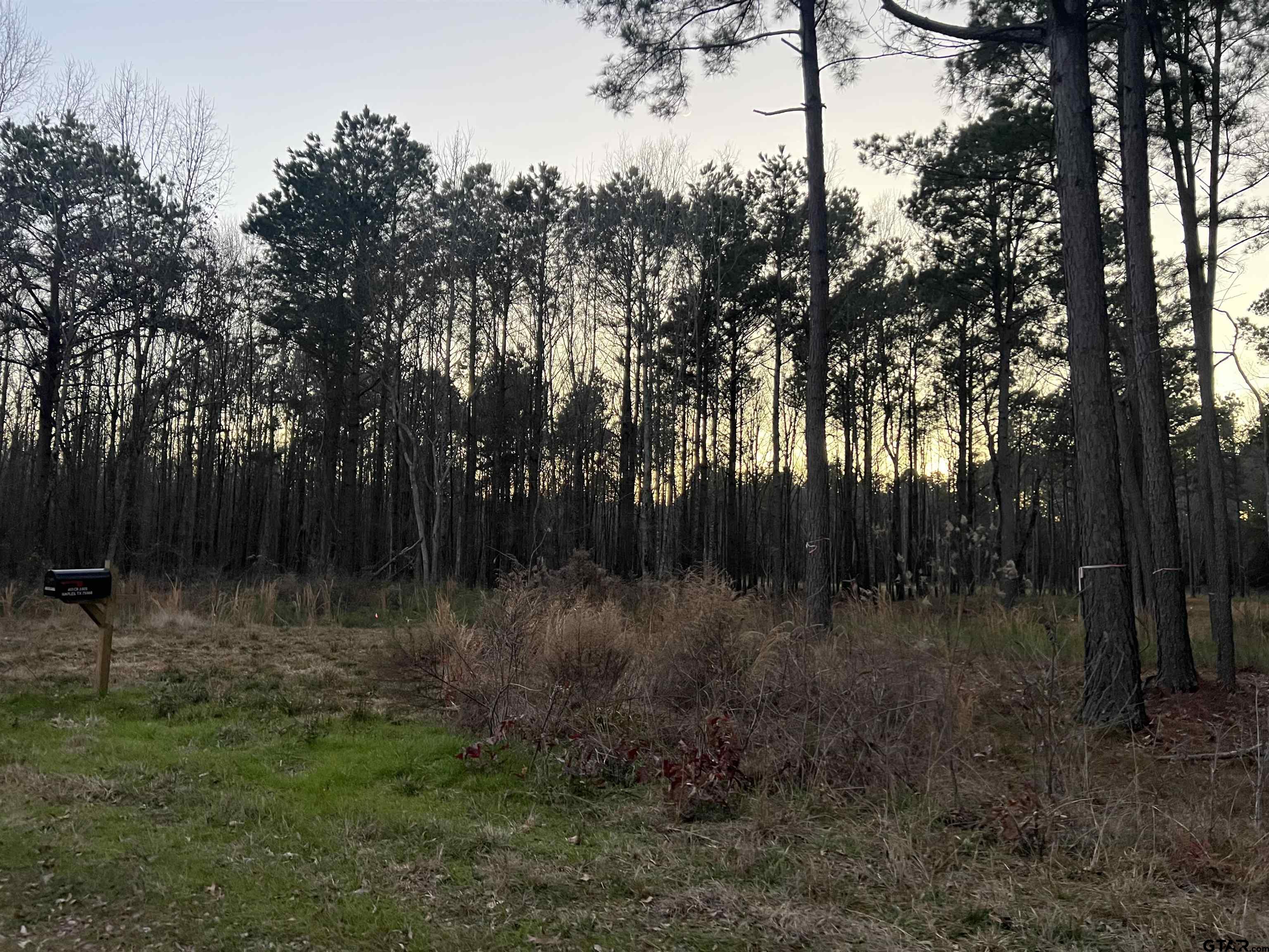 401 County Road 3305