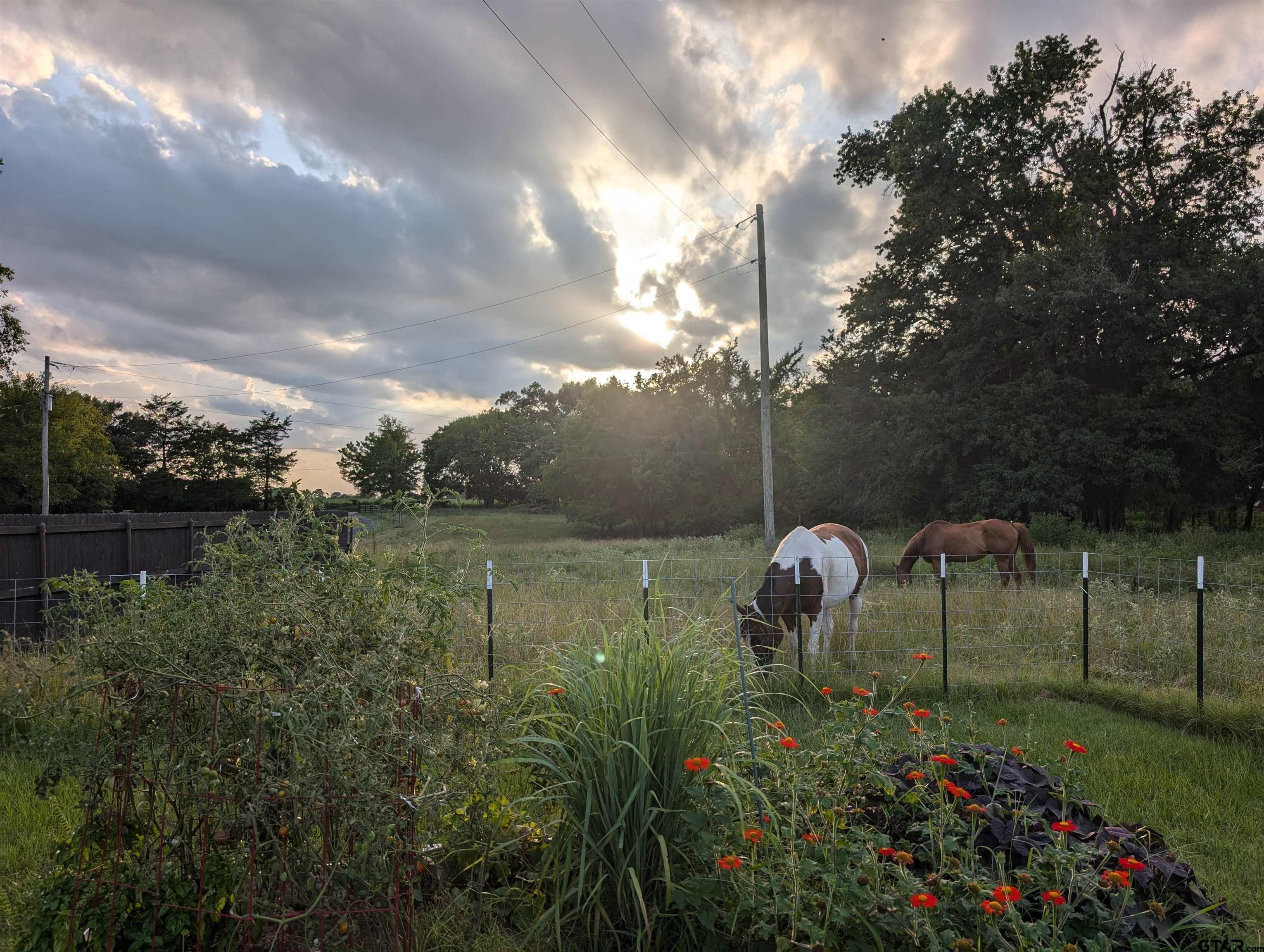 261 County Road 4015