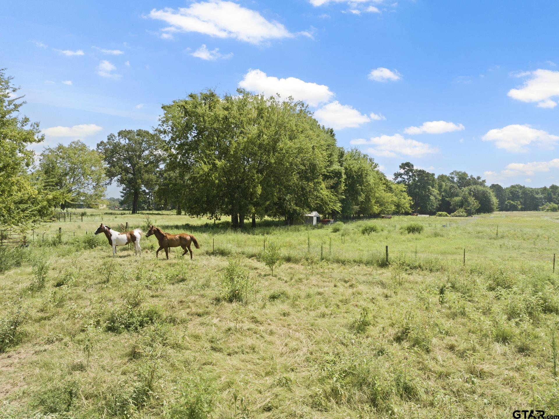 261 County Road 4015