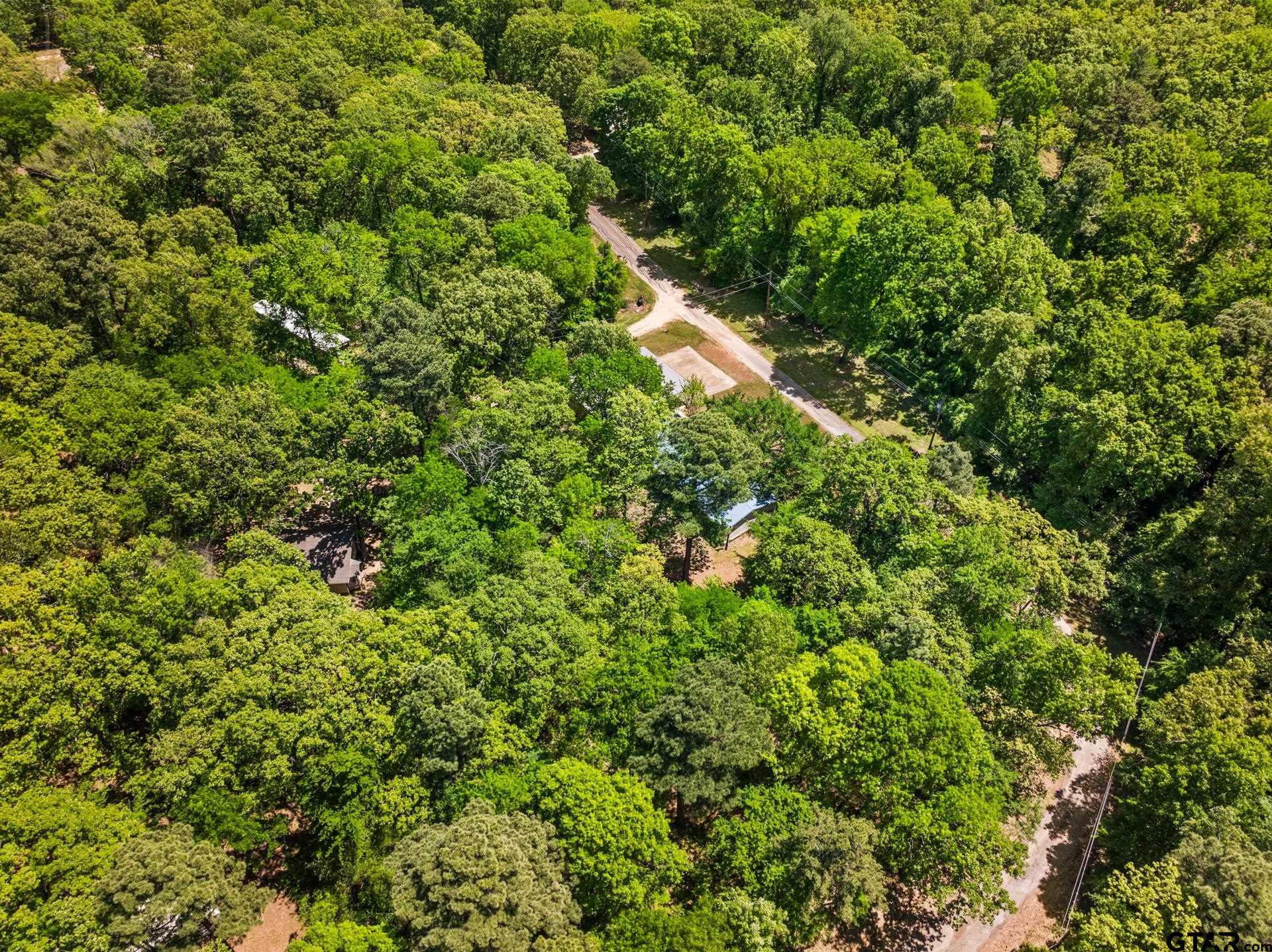 364 San Saba Ln