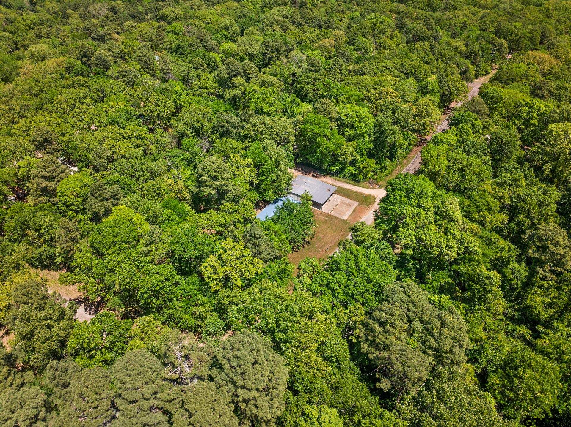 364 San Saba Ln
