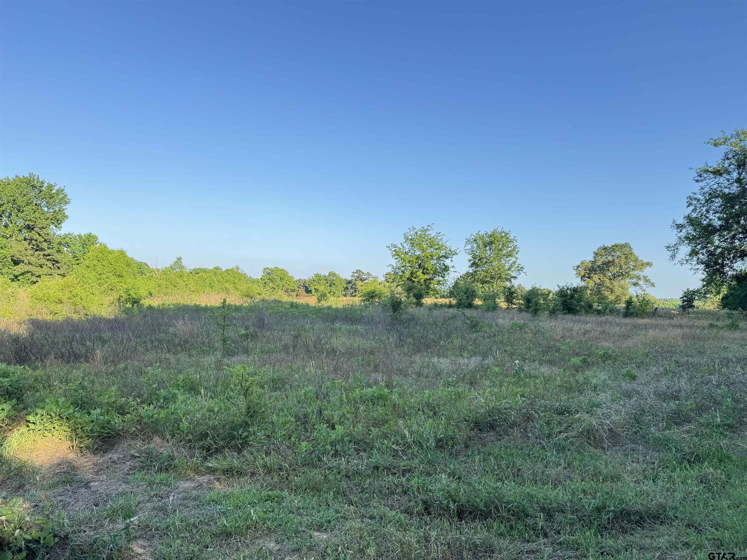 TBD County Road 3115
