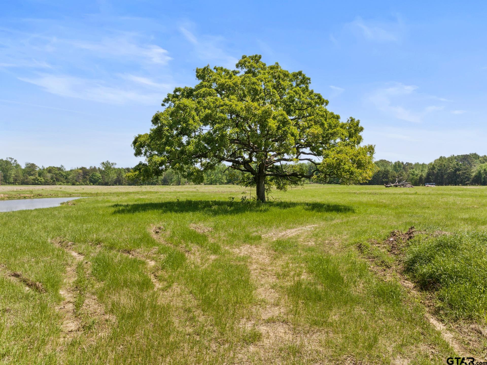 Lot A CR 3324