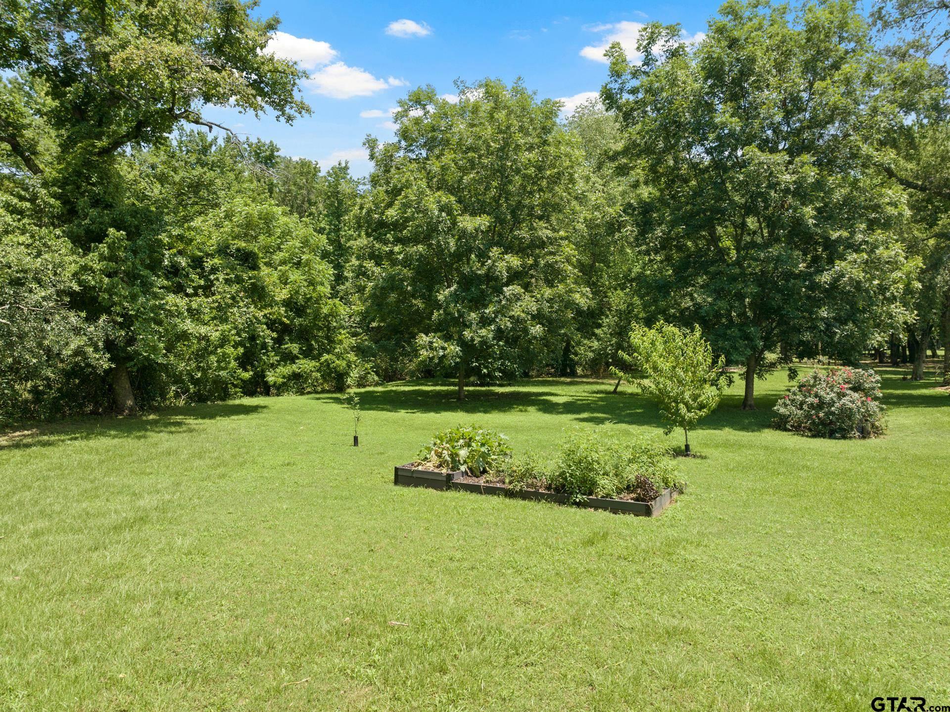 909 Holly Hill