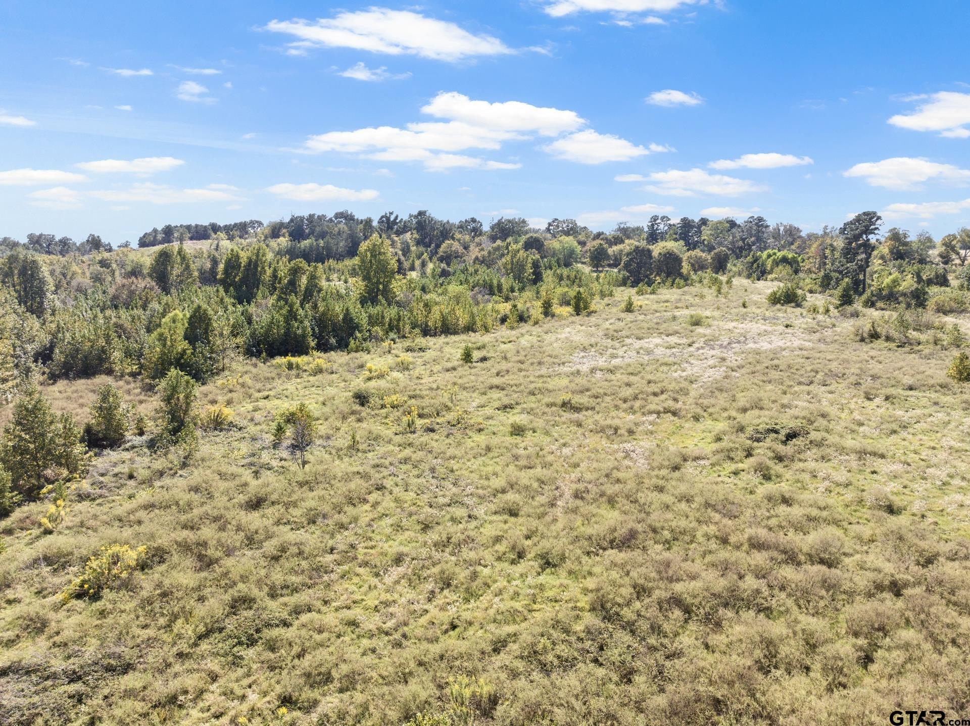 TRACT 1 County Road 4325