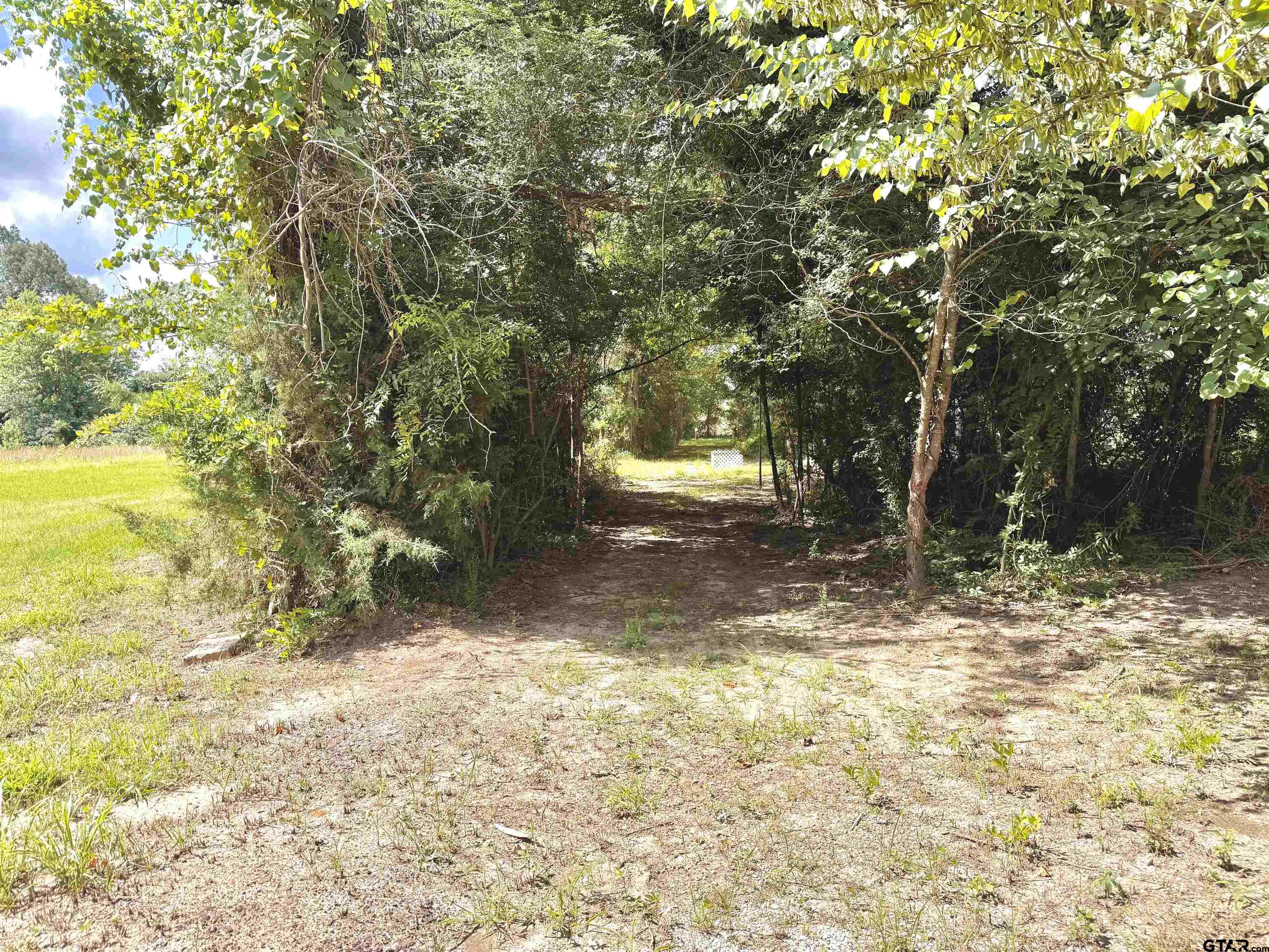 3235 County Rd 3365