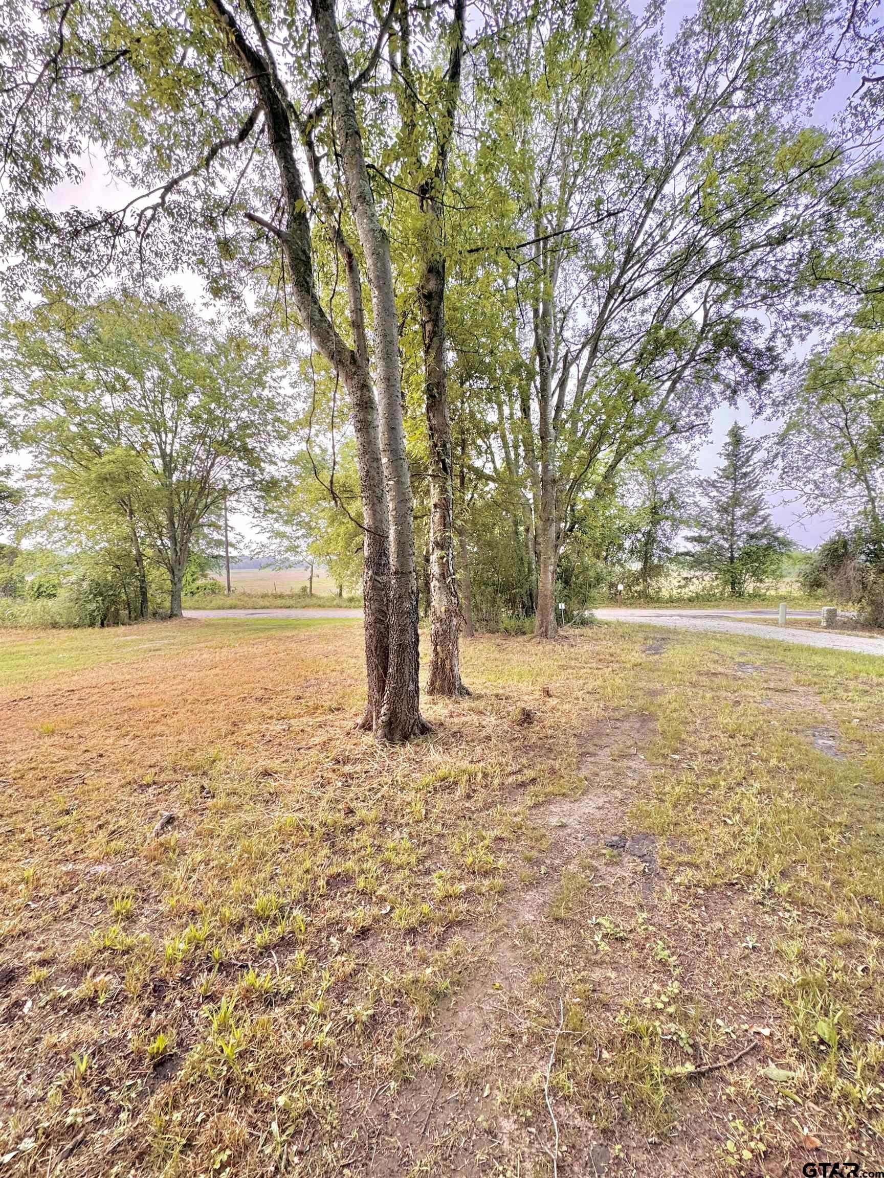 3235 County Rd 3365
