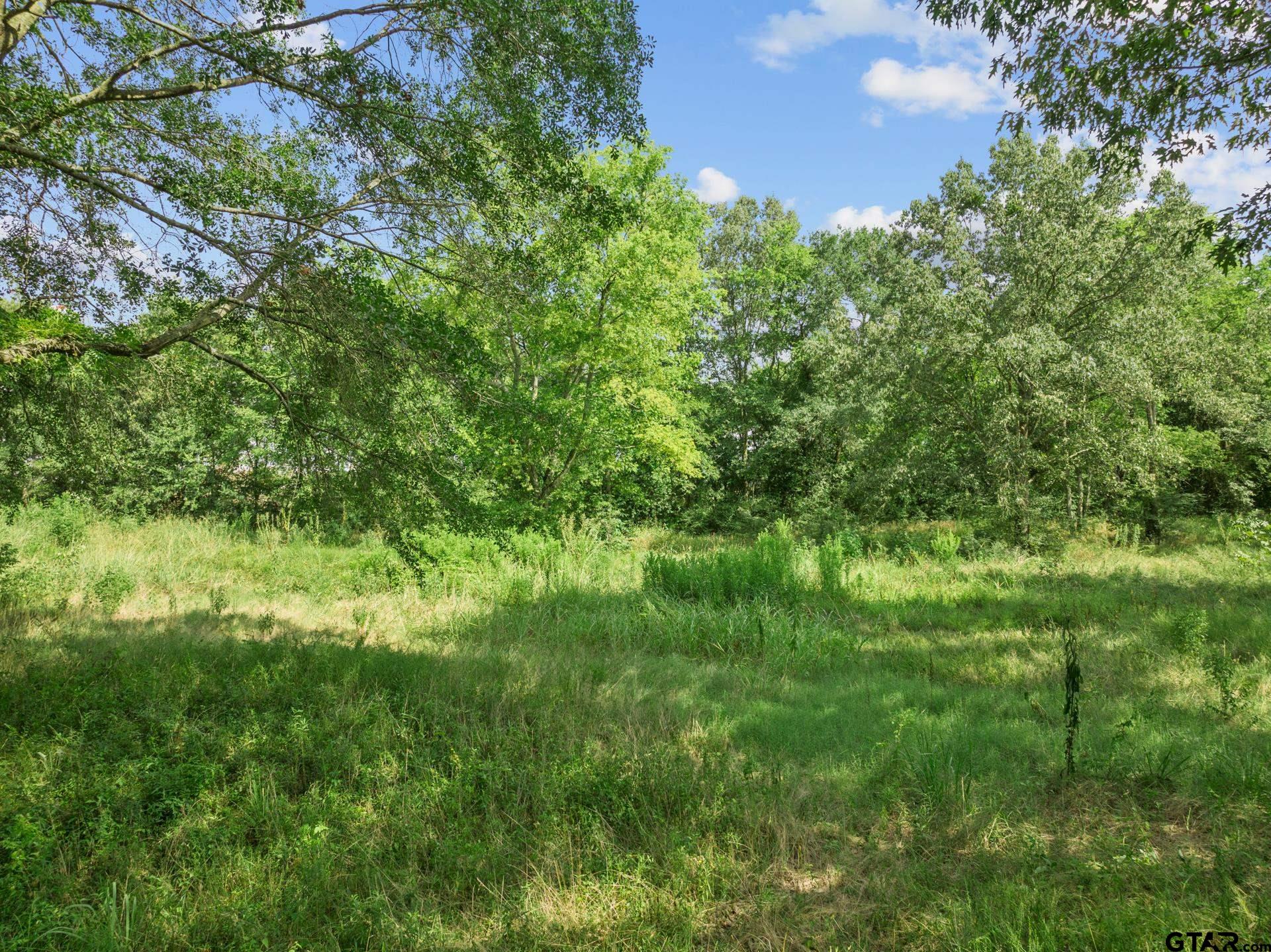 255 County Road 3322