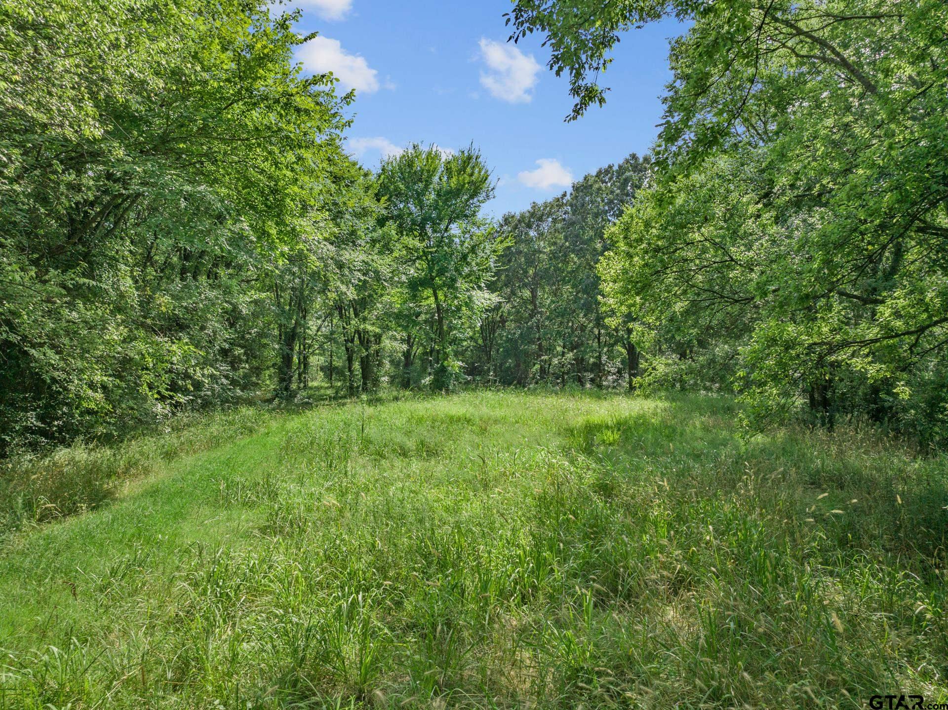 255 County Road 3322