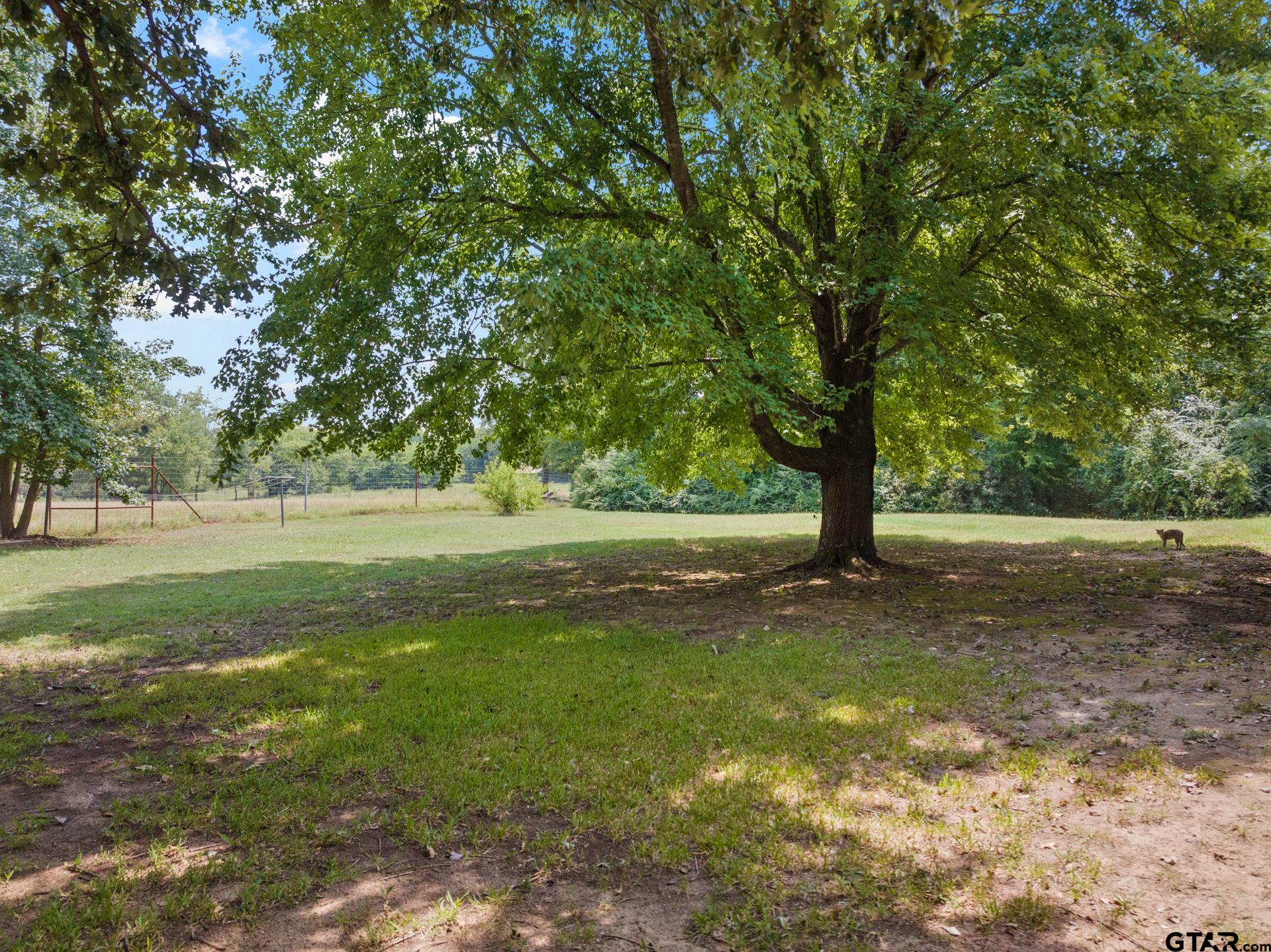 387 County Road 2675