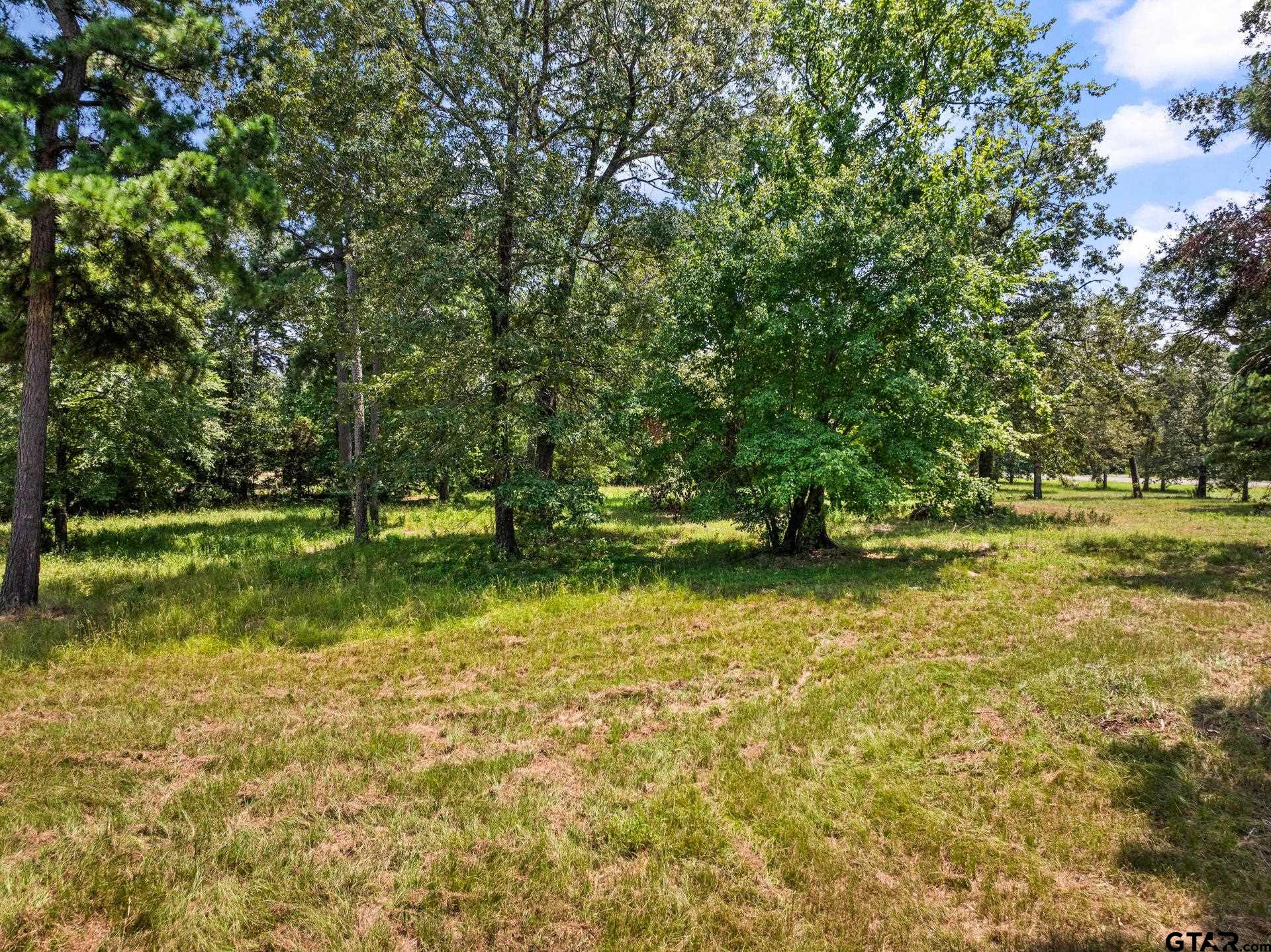 3731 FM 1519