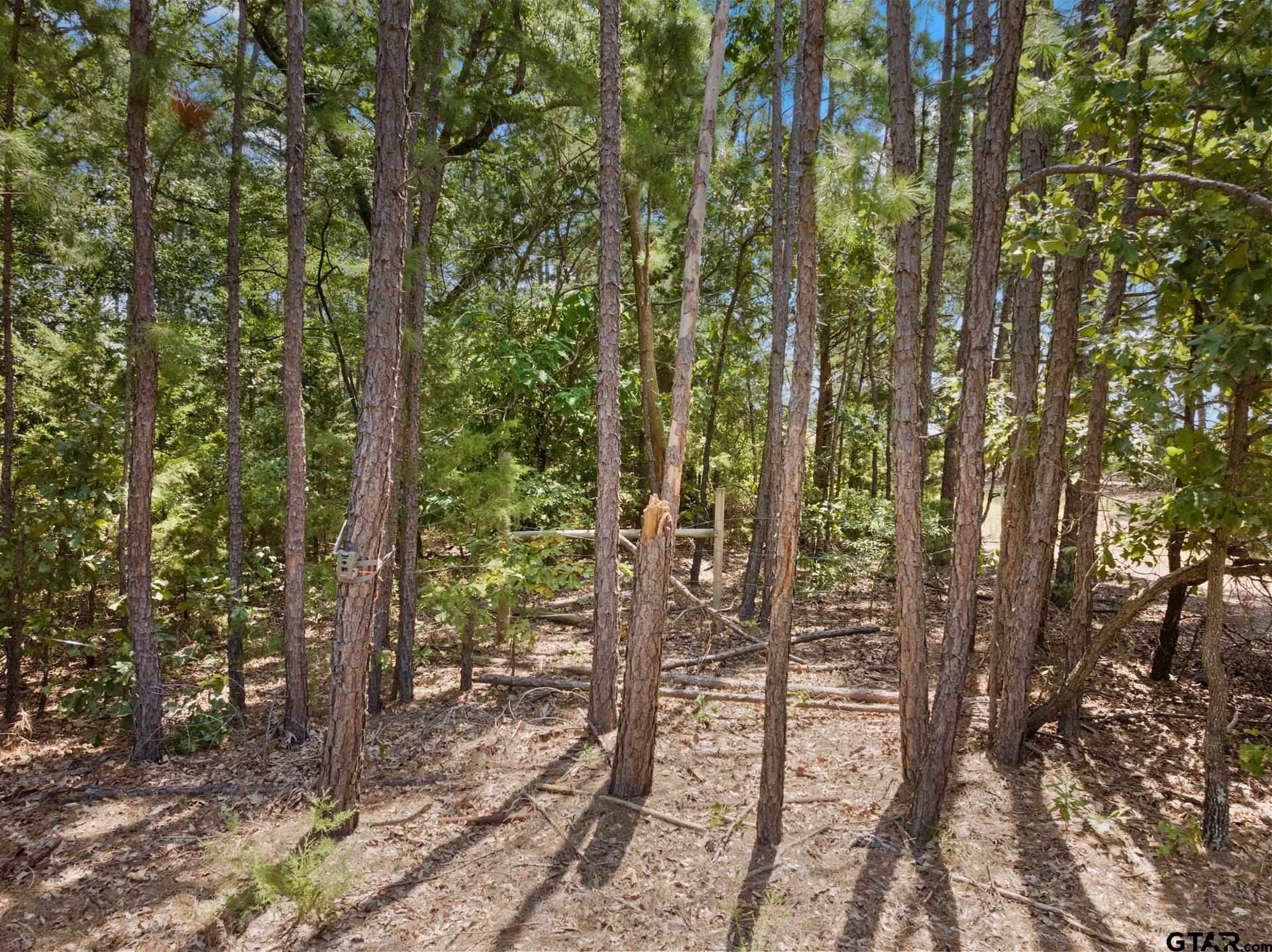 1114 County Road 3430