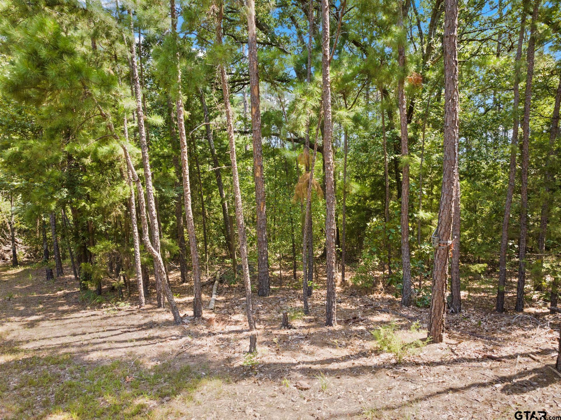 1114 County Road 3430
