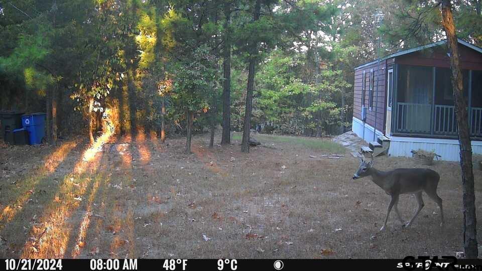 1114 County Road 3430