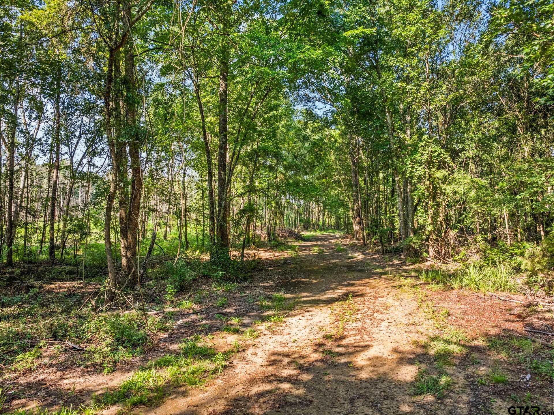 TBD Mink Road