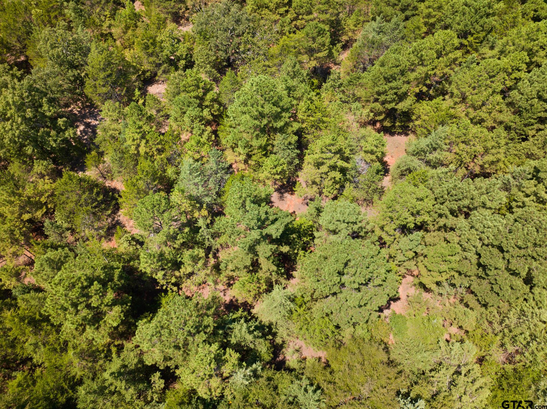 TBD County Road 4710