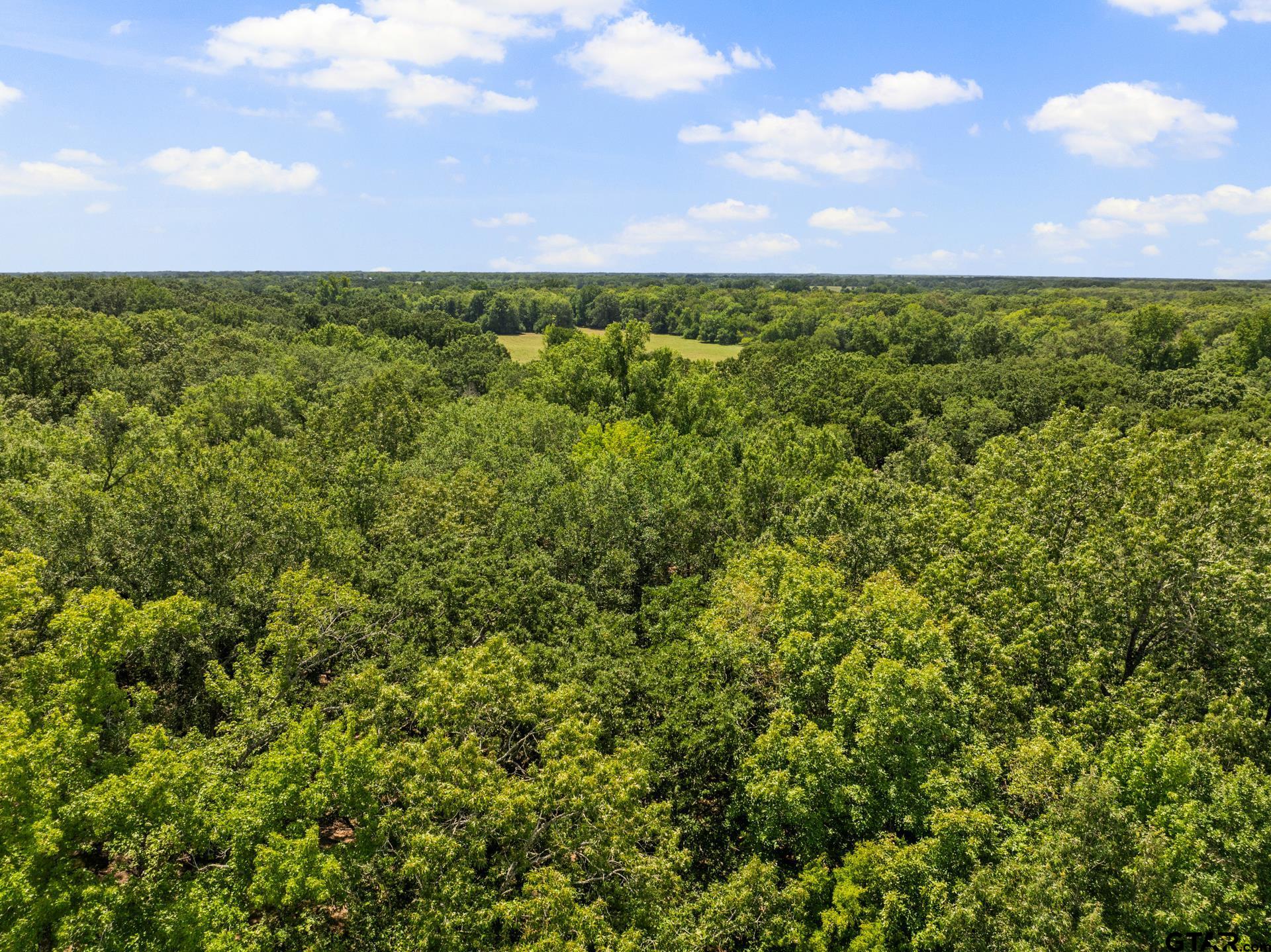 TBD Highway 271