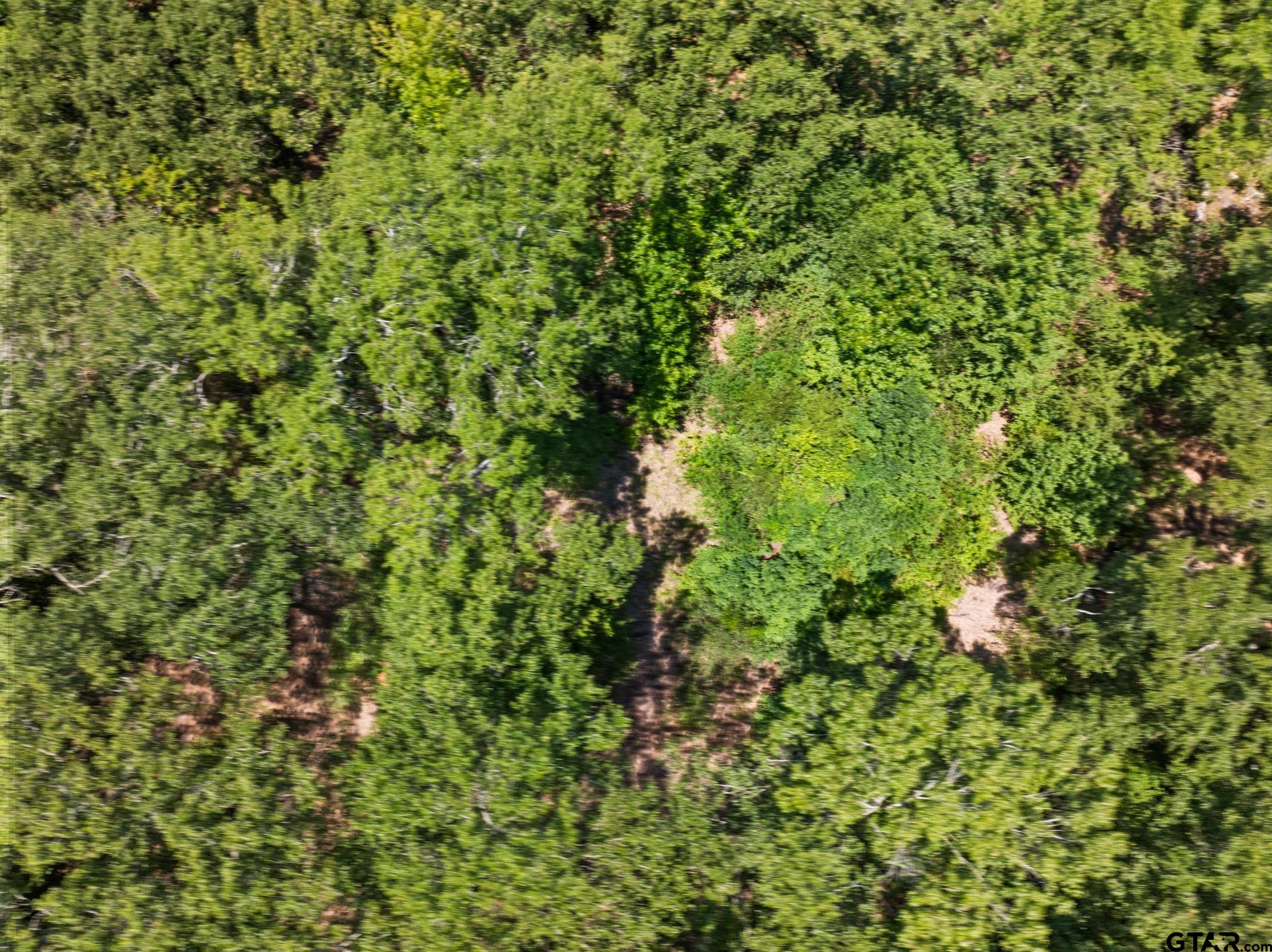 TBD Highway 271