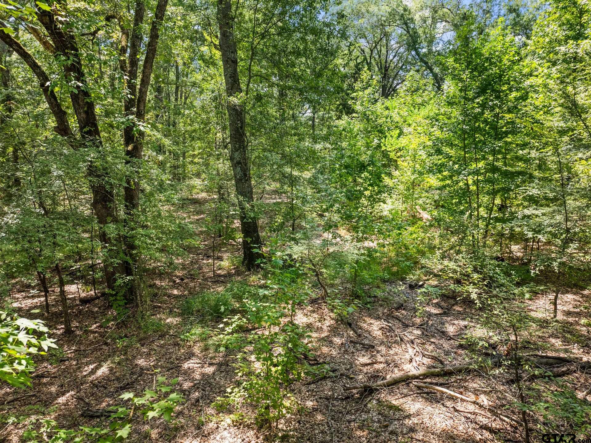 TBD Highway 271