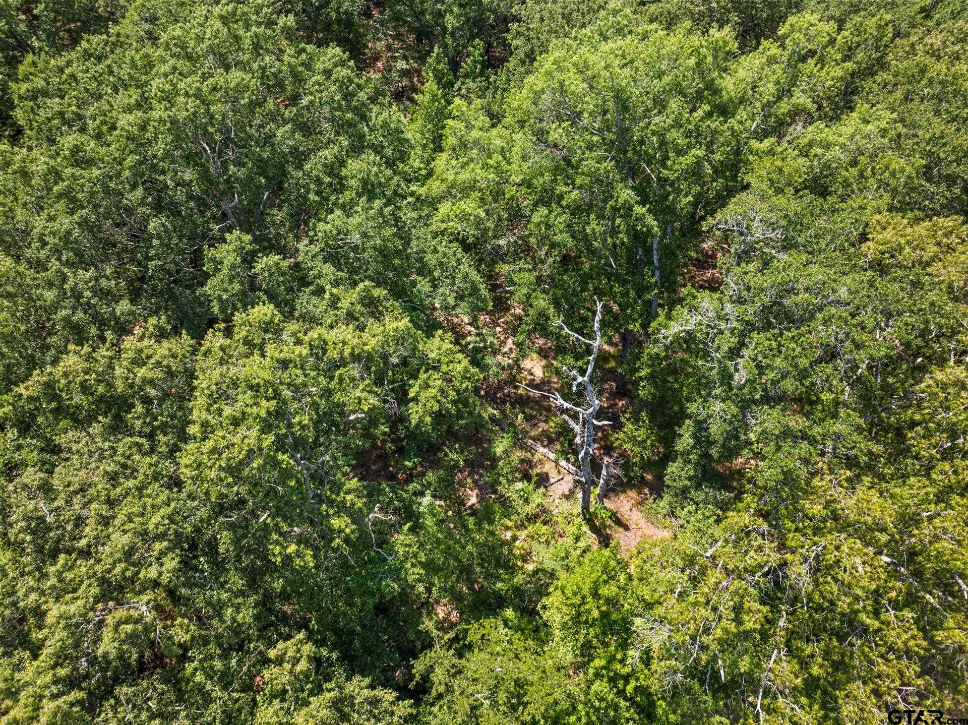 TBD Highway 271