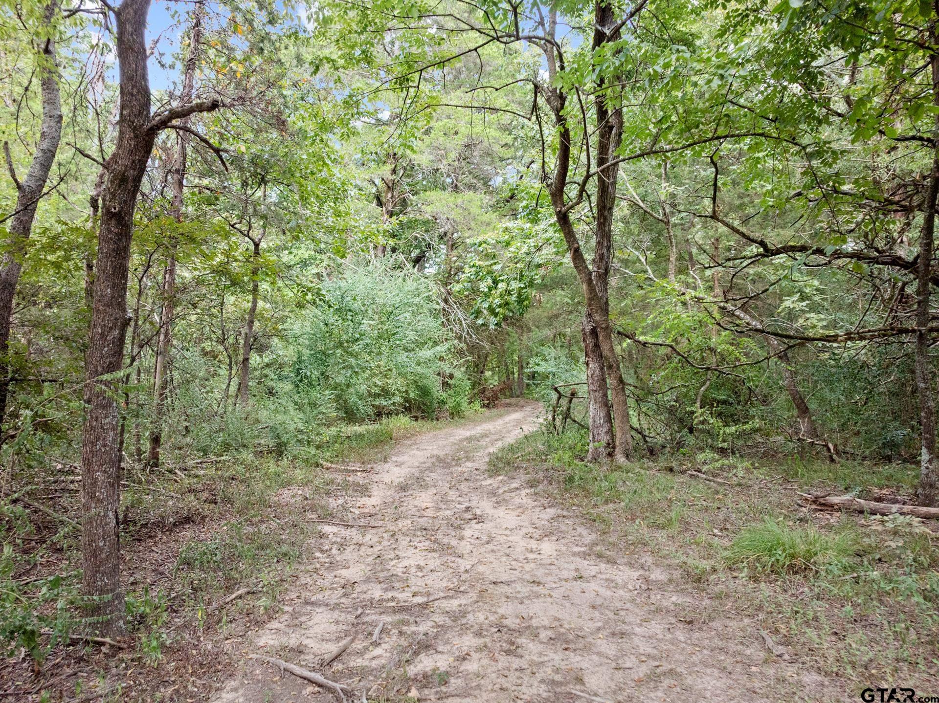 8091 Hwy 37 S