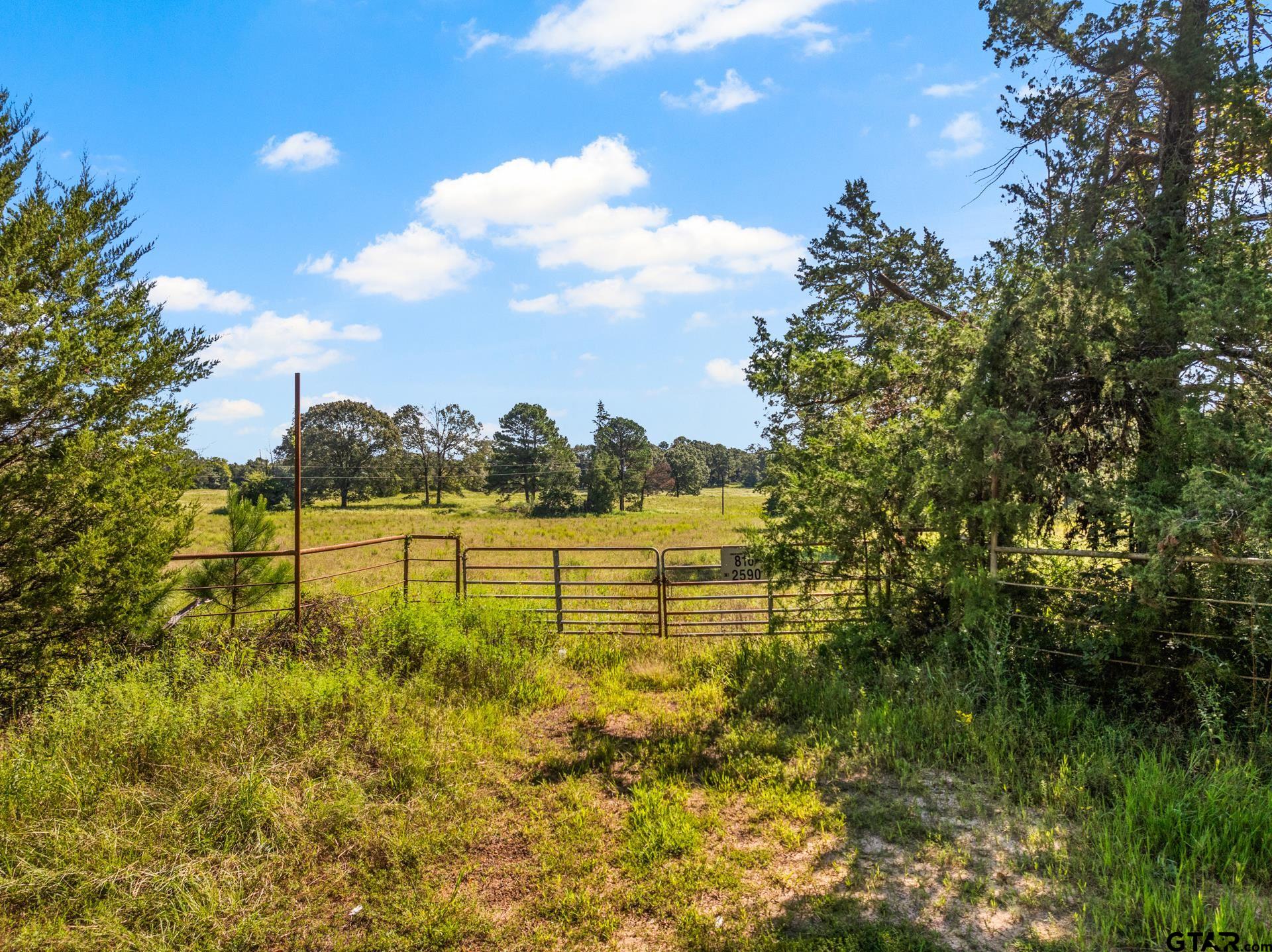 816 CR 2590